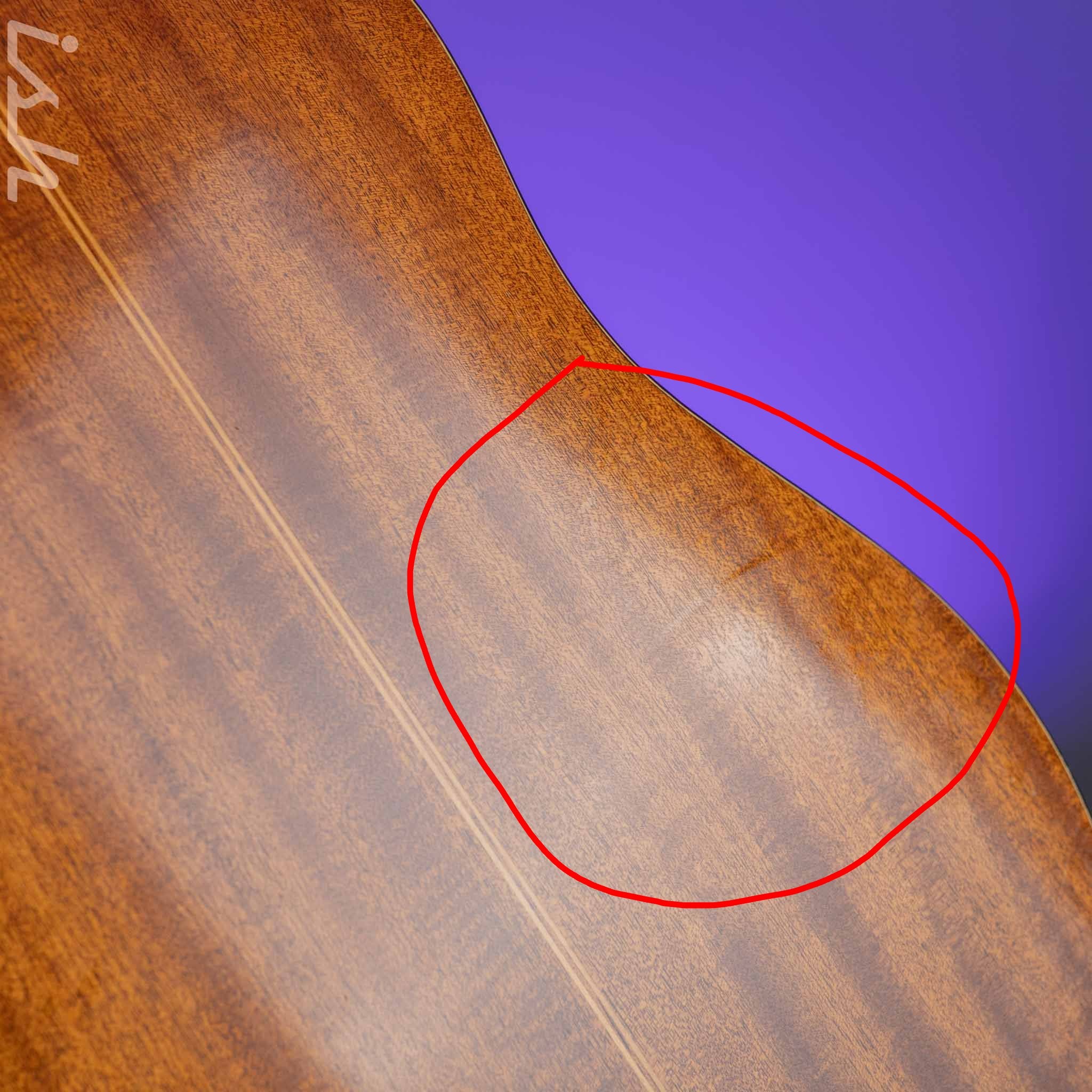 1966-1969 Vega A-25 Acoustic Guitar - Image 13