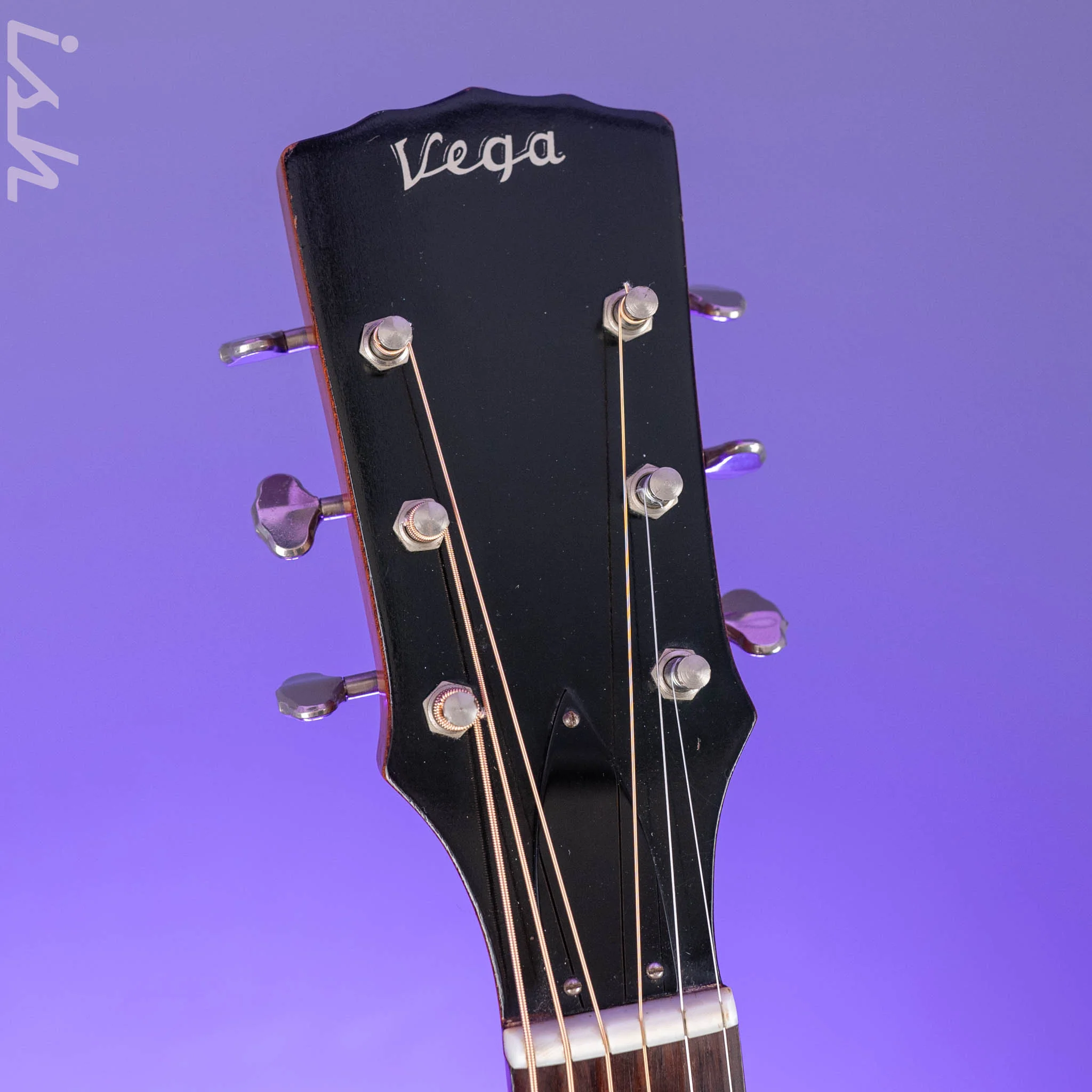 1966-1969 Vega A-25 Acoustic Guitar - Image 5