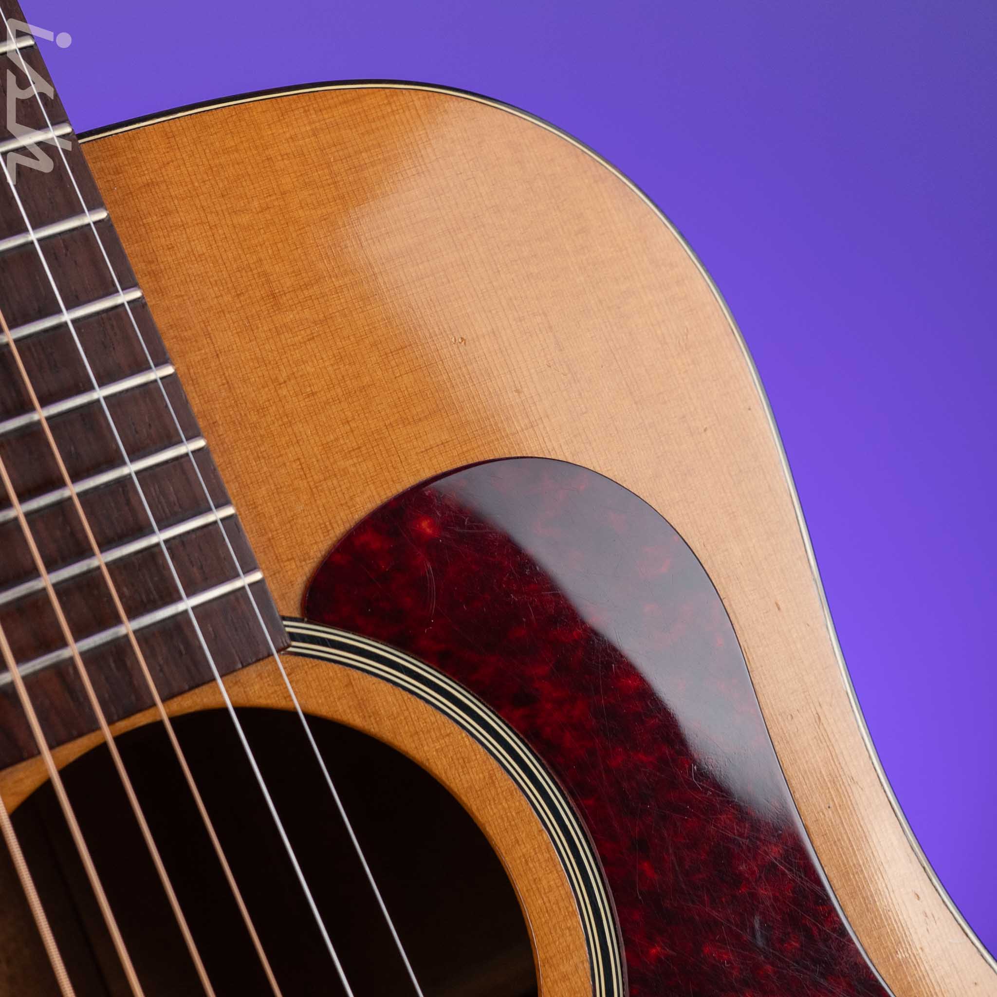 1966-1969 Vega A-25 Acoustic Guitar - Image 7
