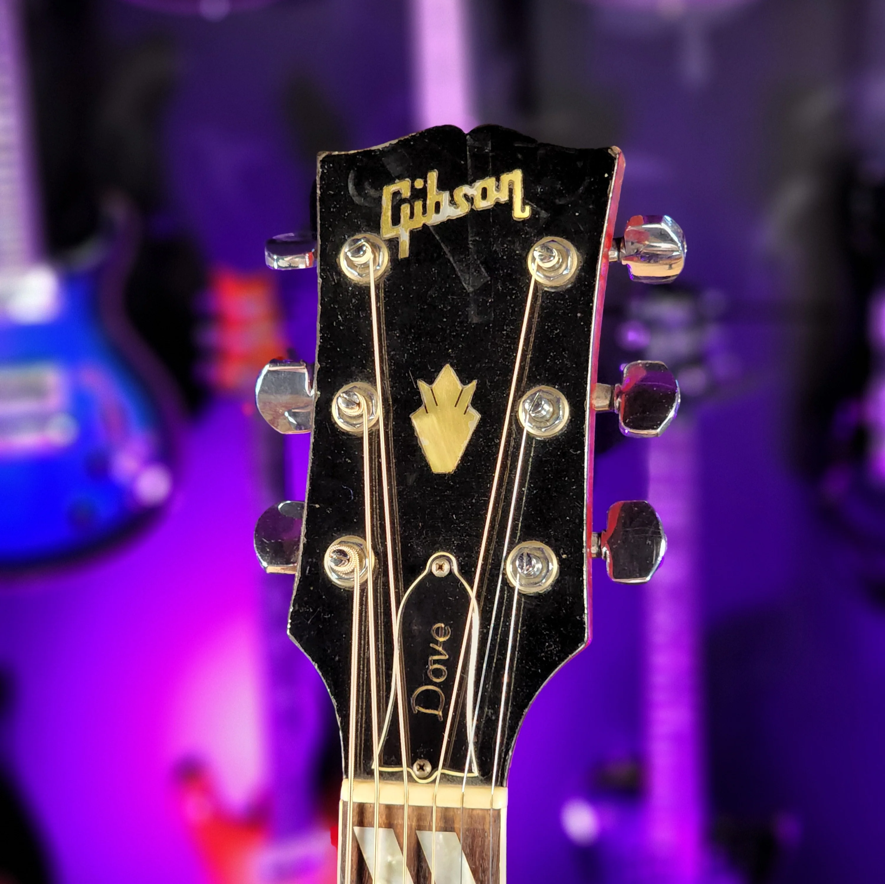 1970-1972 Gibson Dove Natural - Image 10