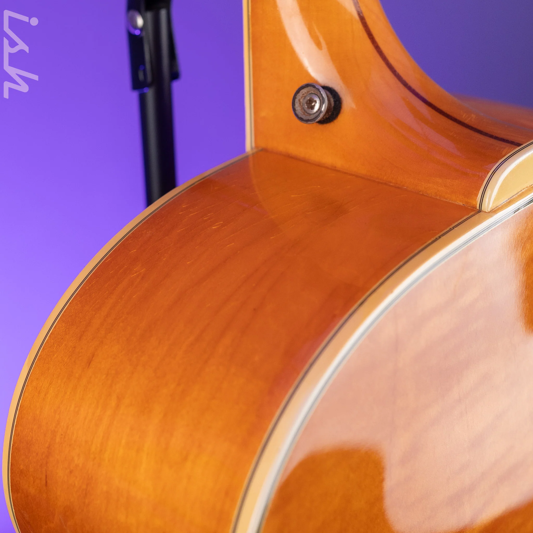 1975 Guild F-50 Natural - Image 22