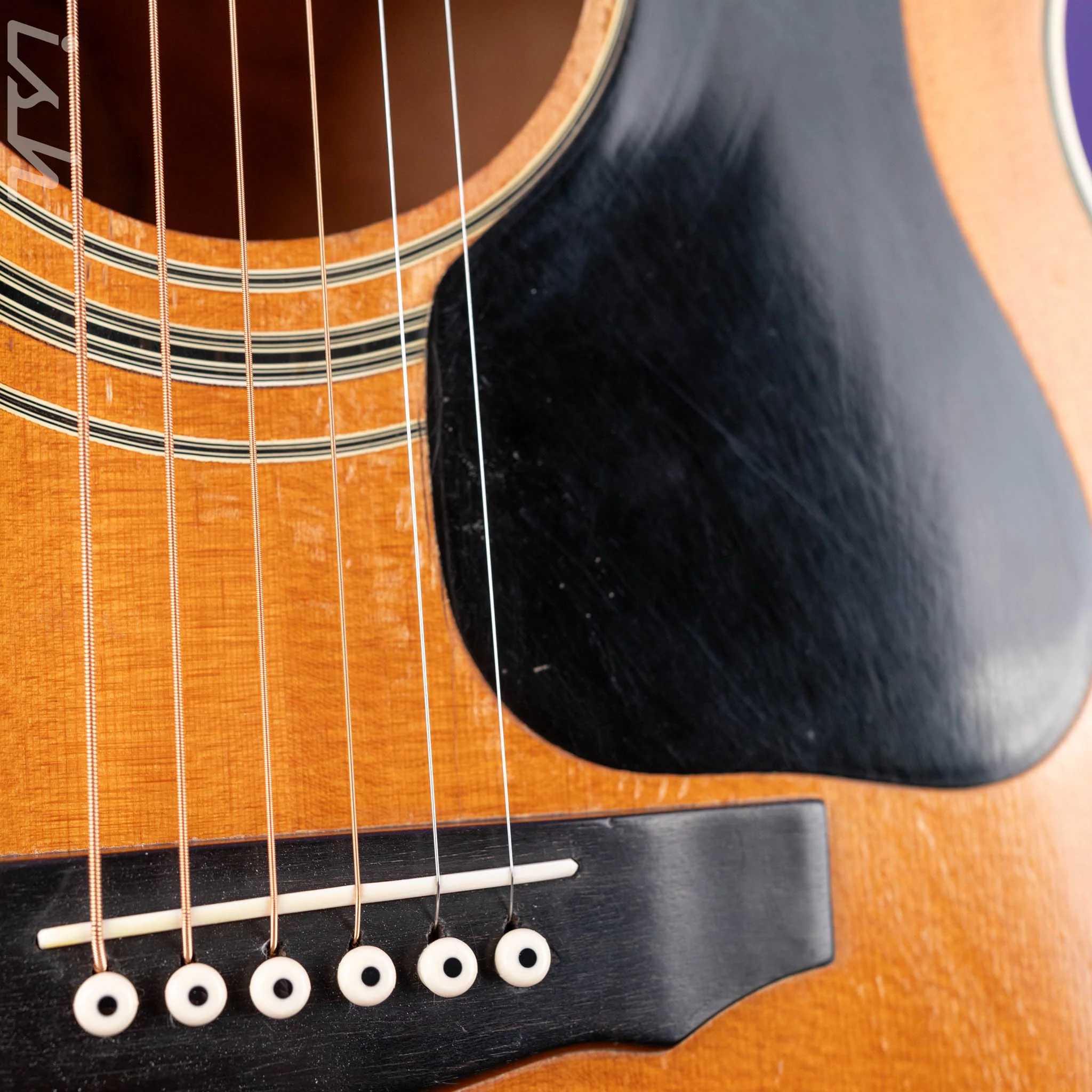 1975 Guild F-50 Natural - Image 7