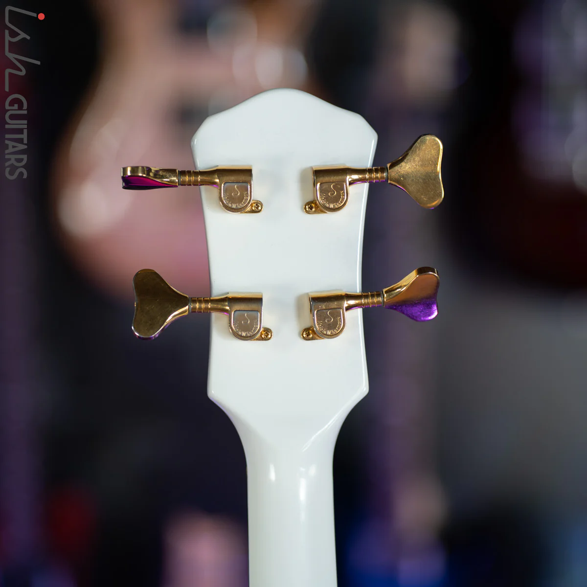 1980s/1990s Pedulla Buzz 4 Fretless Bass White Gloss - Image 11