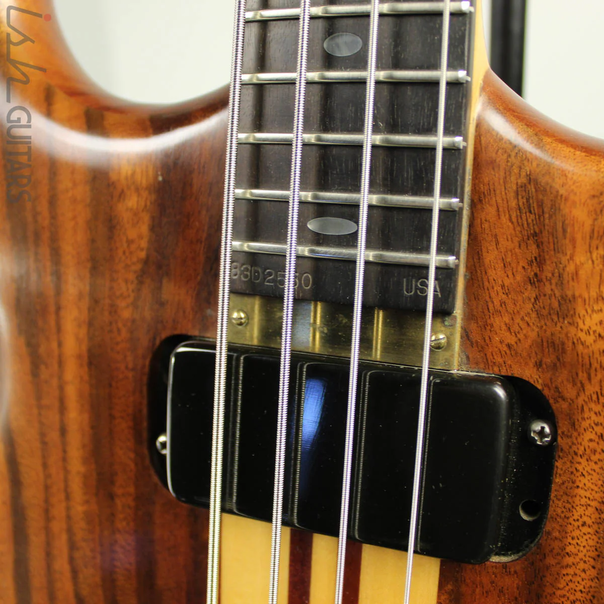 1983 Alembic Distillate Natural w/ Coffin Case - Image 21