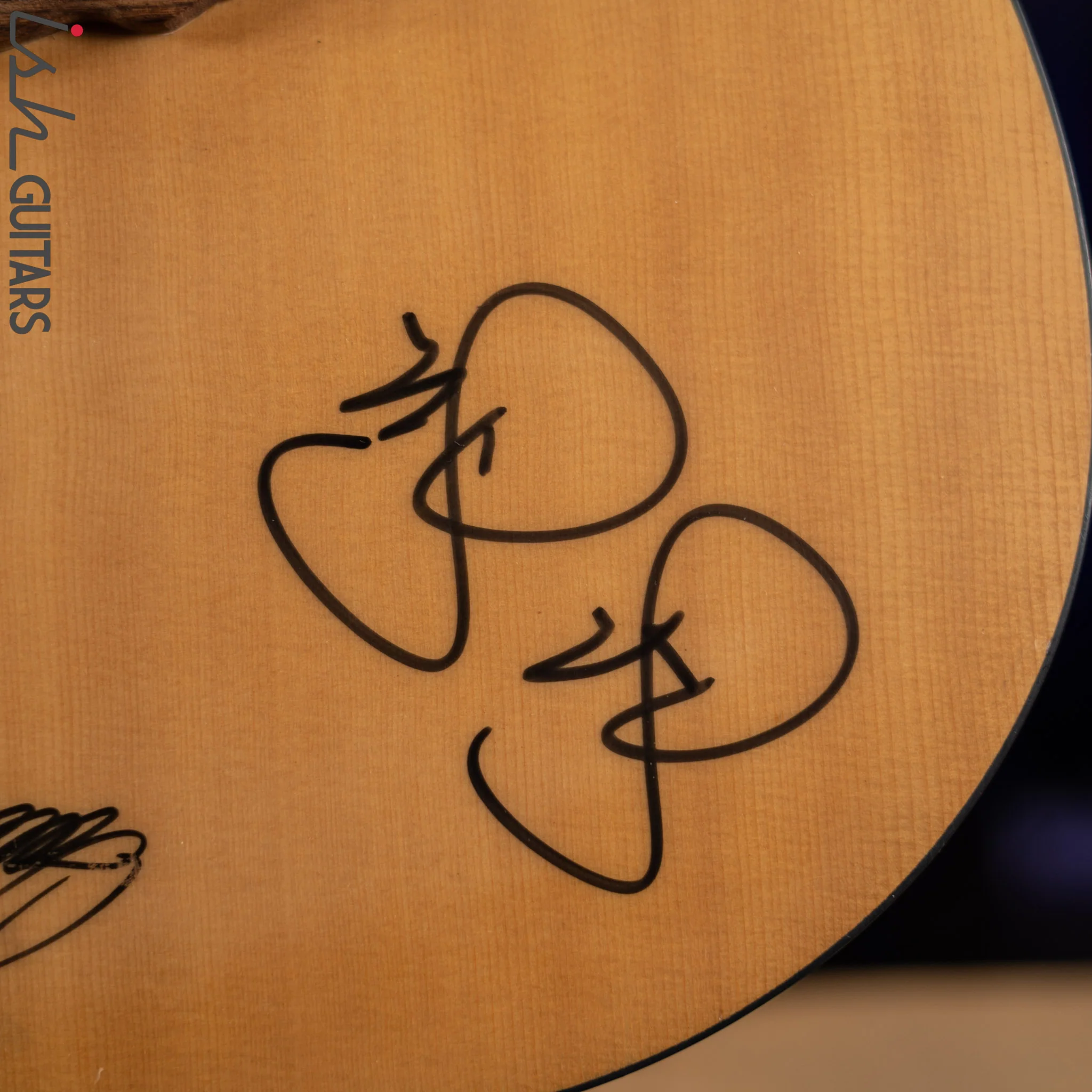 1990s Alvarez 5210 Acoustic Signed By Crosby, Stills, & Nash - Image 8