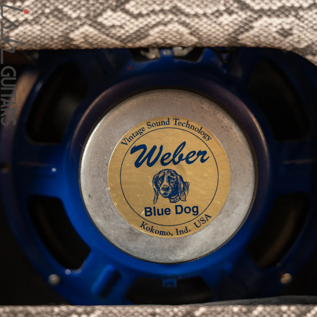 1998 Blues Pearl Texas Tornado 1x12 Combo Snakeskin - Image 13
