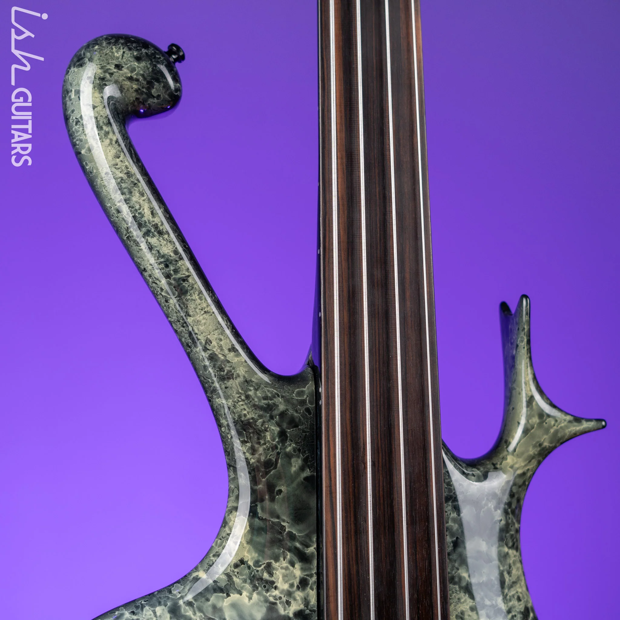 2002 Ritter Raptor Fretless 4-String Bass Marble - Image 3