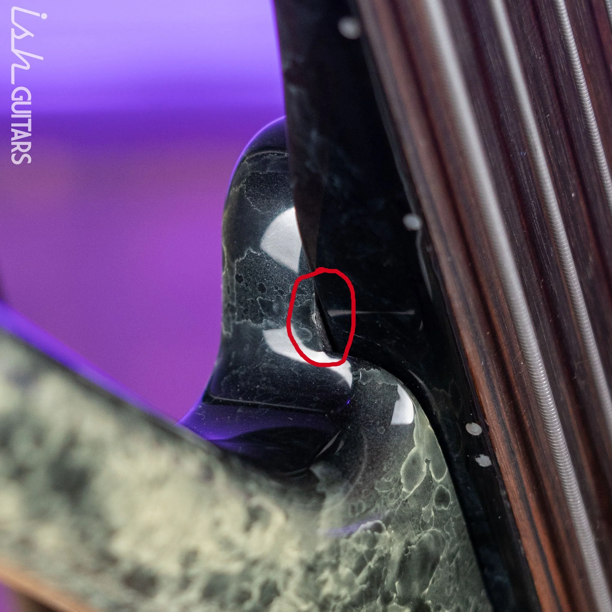 2002 Ritter Raptor Fretless 4-String Bass Marble - Image 6