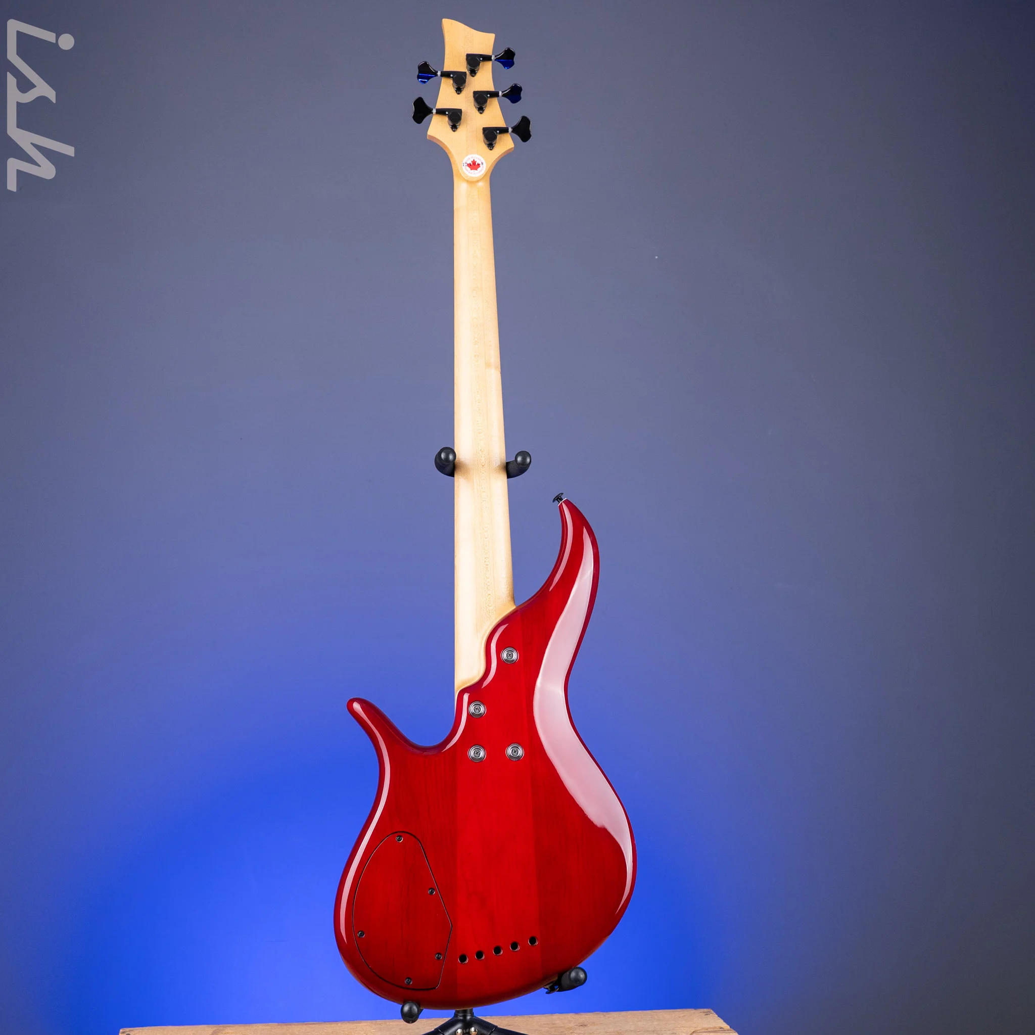 2004 F Bass BNF5 Fretless Transparent Red - Image 13