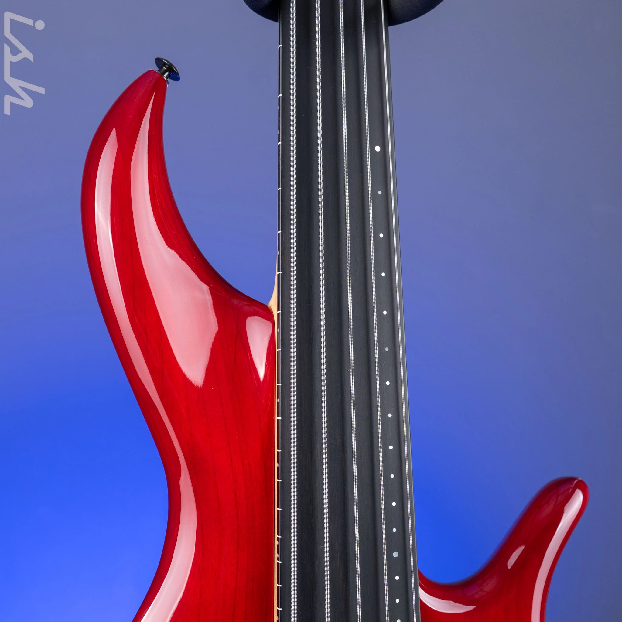 2004 F Bass BNF5 Fretless Transparent Red - Image 4