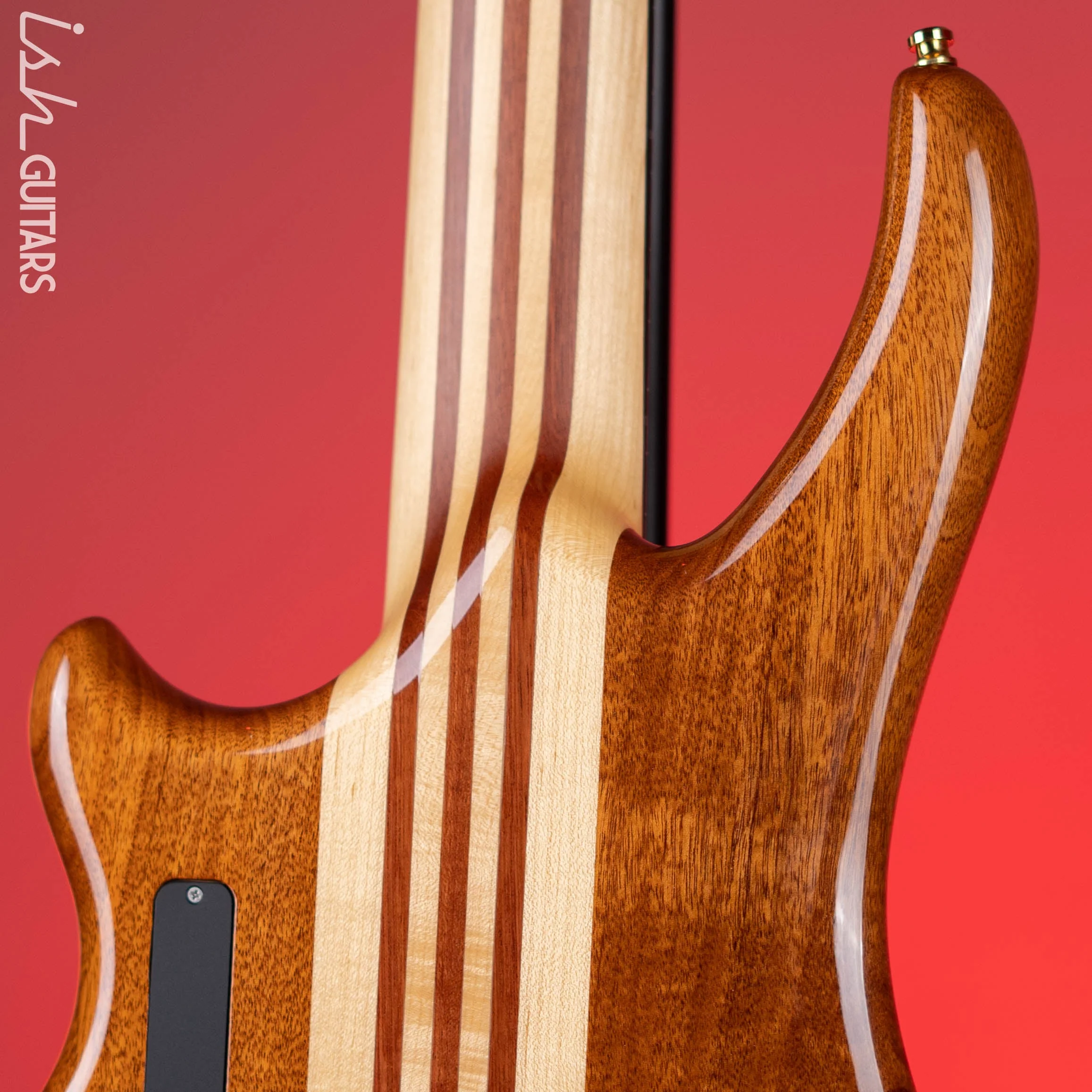 2005 Alembic Essence 5 String Natural - Image 10