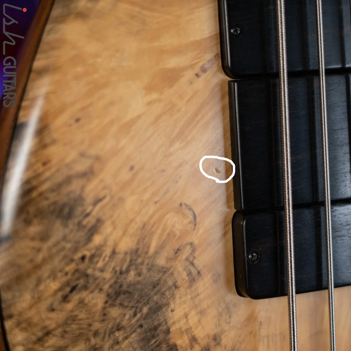 2006 Fodera Beez Elite 6 Singlecut 6-String Bass Natural Buckeye Burl - Image 5