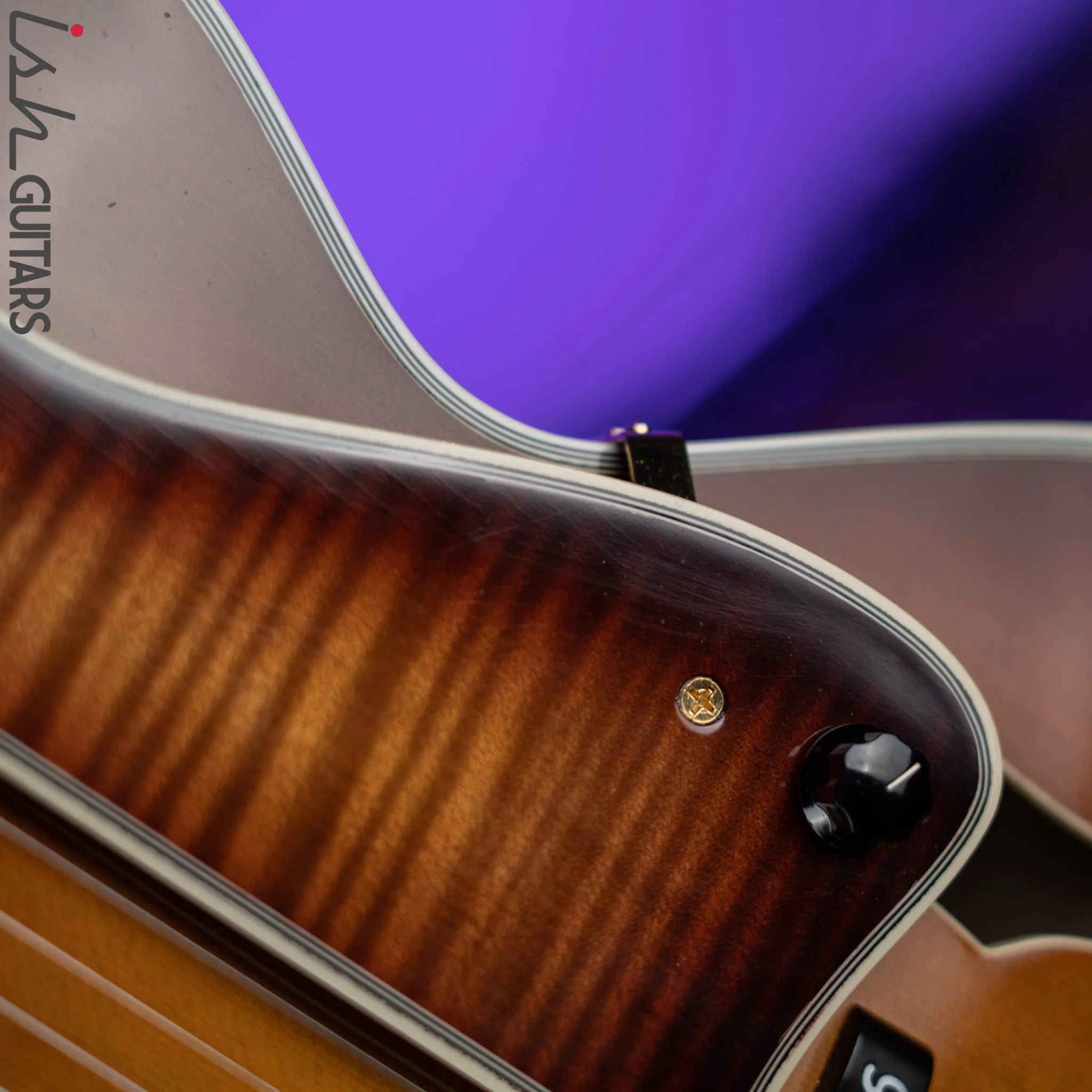 2006 Heritage Sweet 16 Hollowbody Archtop Almond Sunburst - Image 19