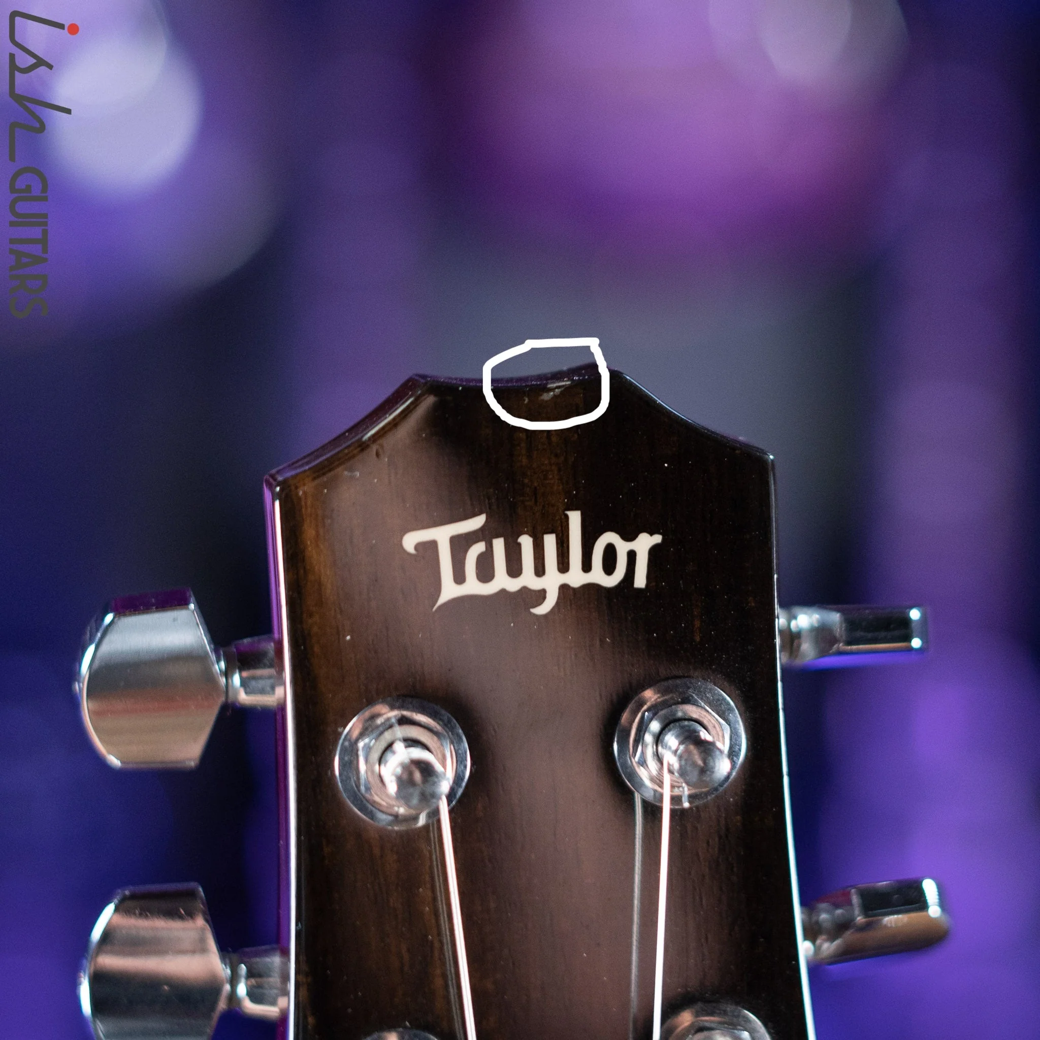 2007 Taylor SB-1 Electric Guitar Standard Sunburst - Image 12
