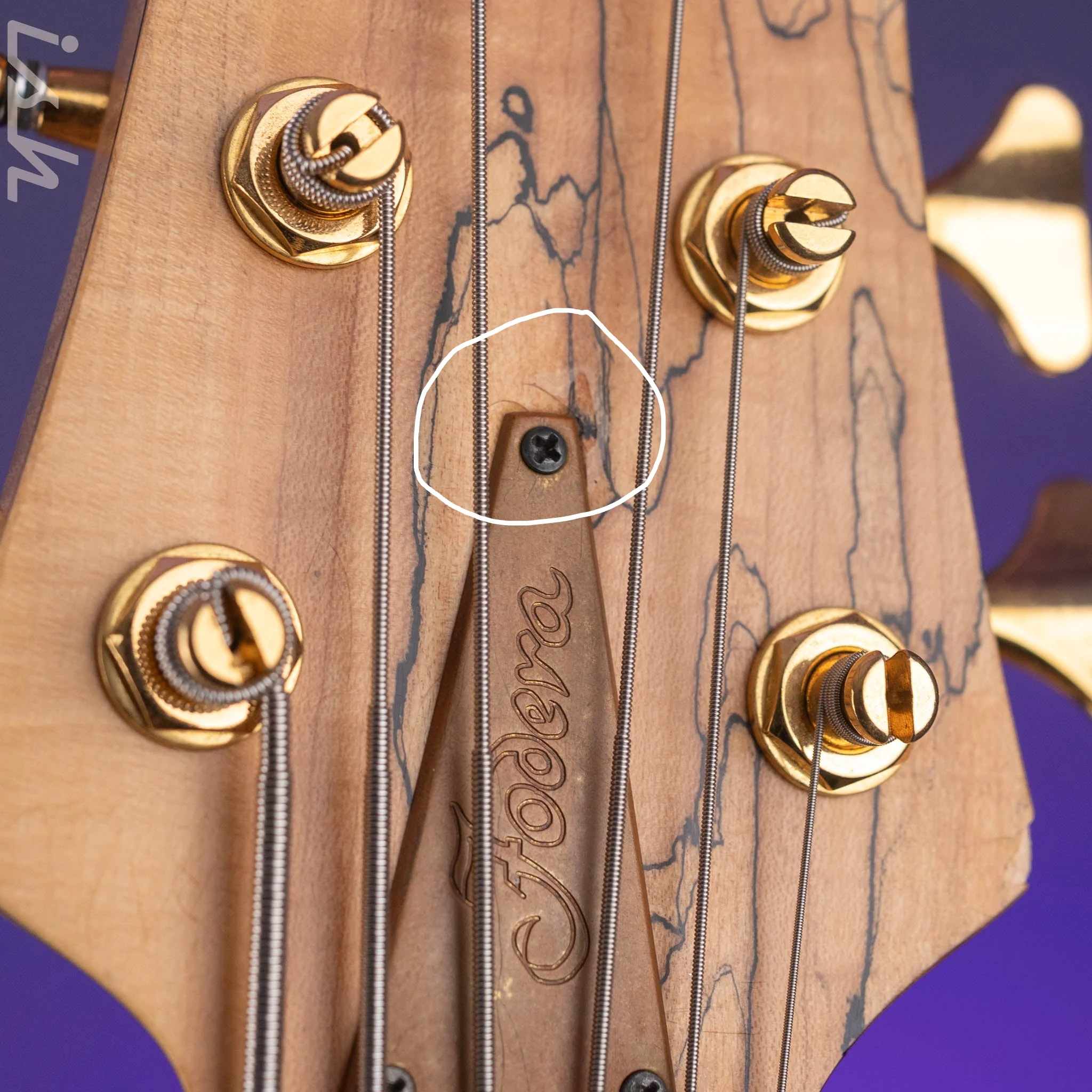 2008 Fodera Monarch Custom 6 String Fretless Bass Spalted Maple - Image 7