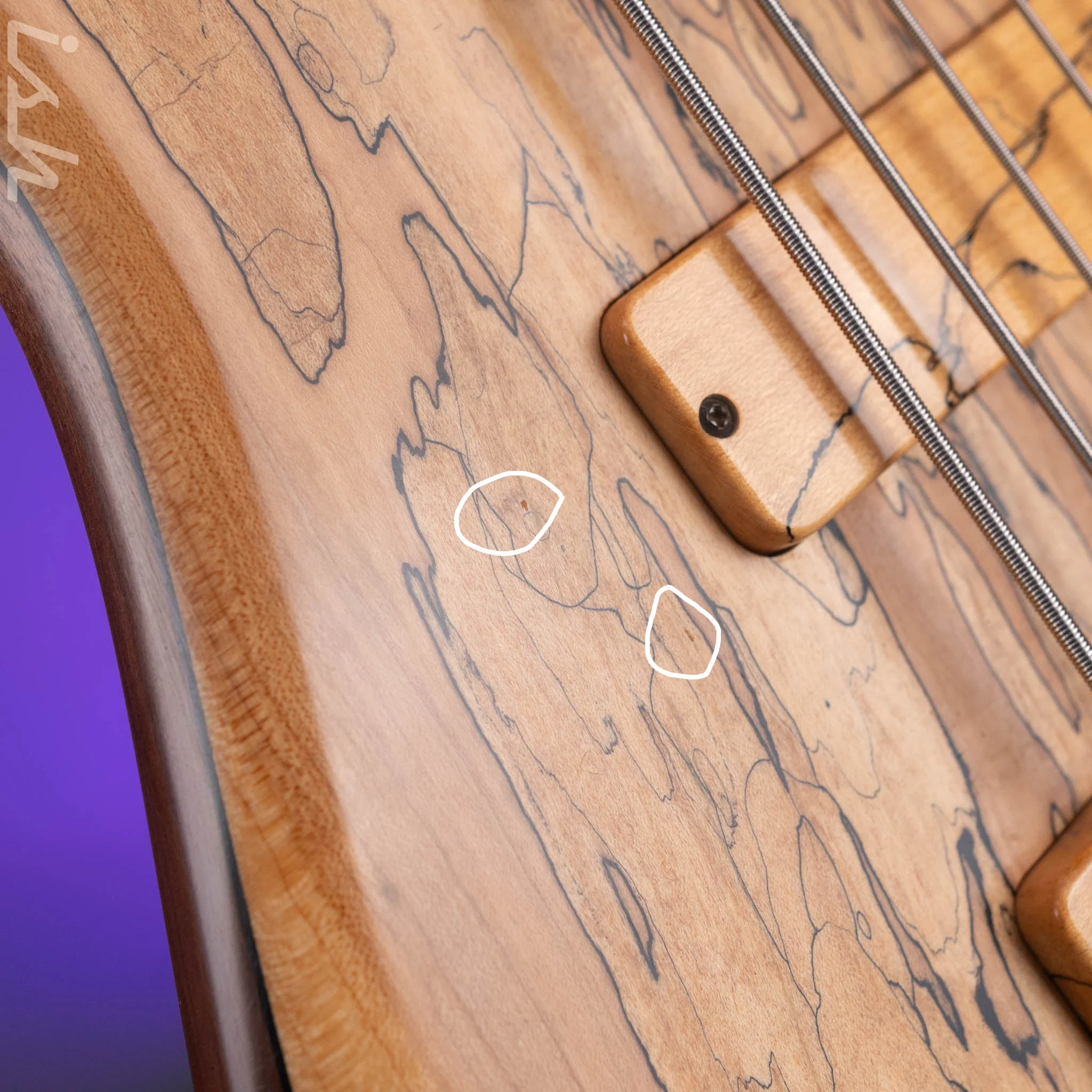2008 Fodera Monarch Custom 6 String Fretless Bass Spalted Maple - Image 8