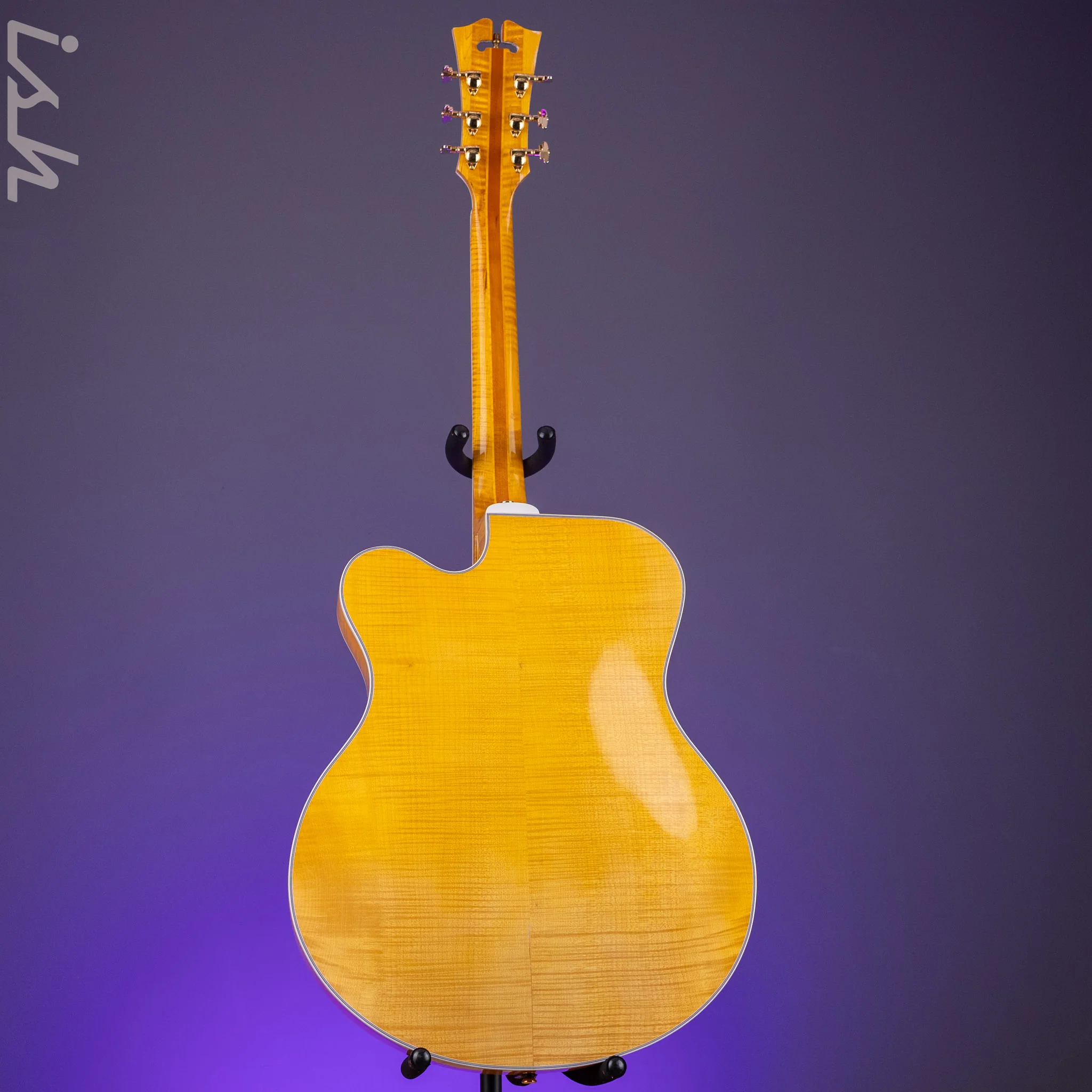 2010 Insalaco Archtop Amber - Image 15