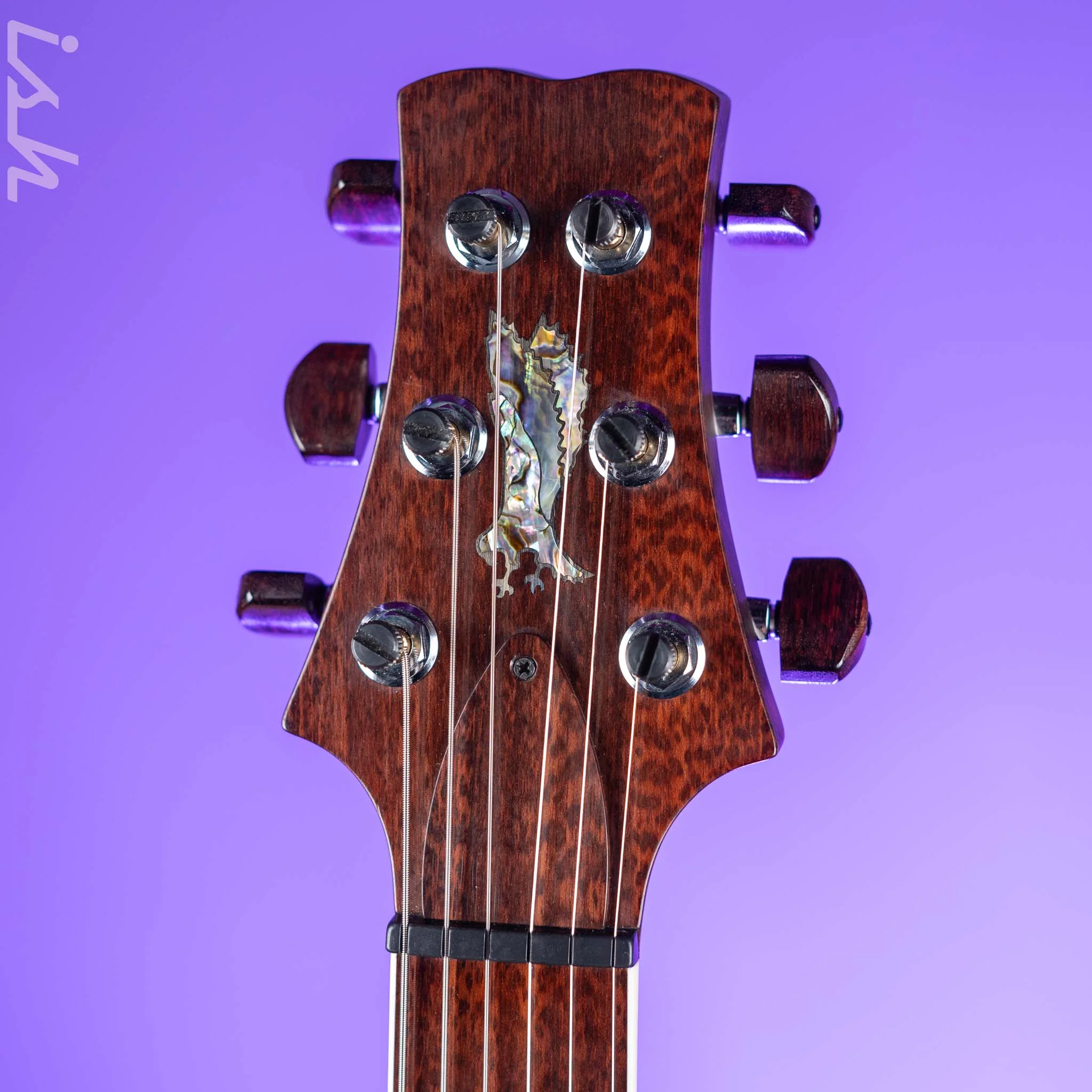 2010 PRS Private Stock DC 245 Ted McCarty Copperhead - Image 10