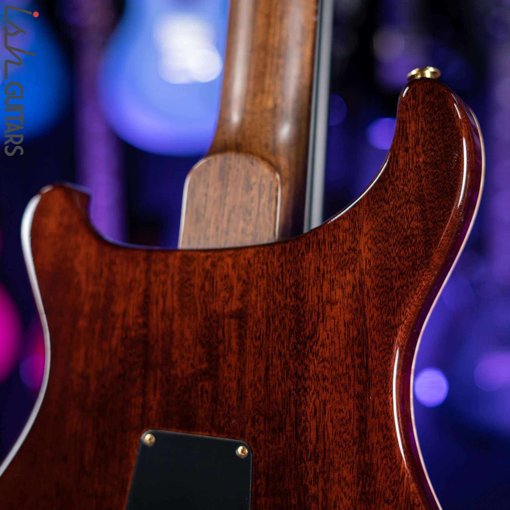 PRS Custom 22 Private Stock Tiger Eye Smoked Burst Birds On A Wire - Image 13