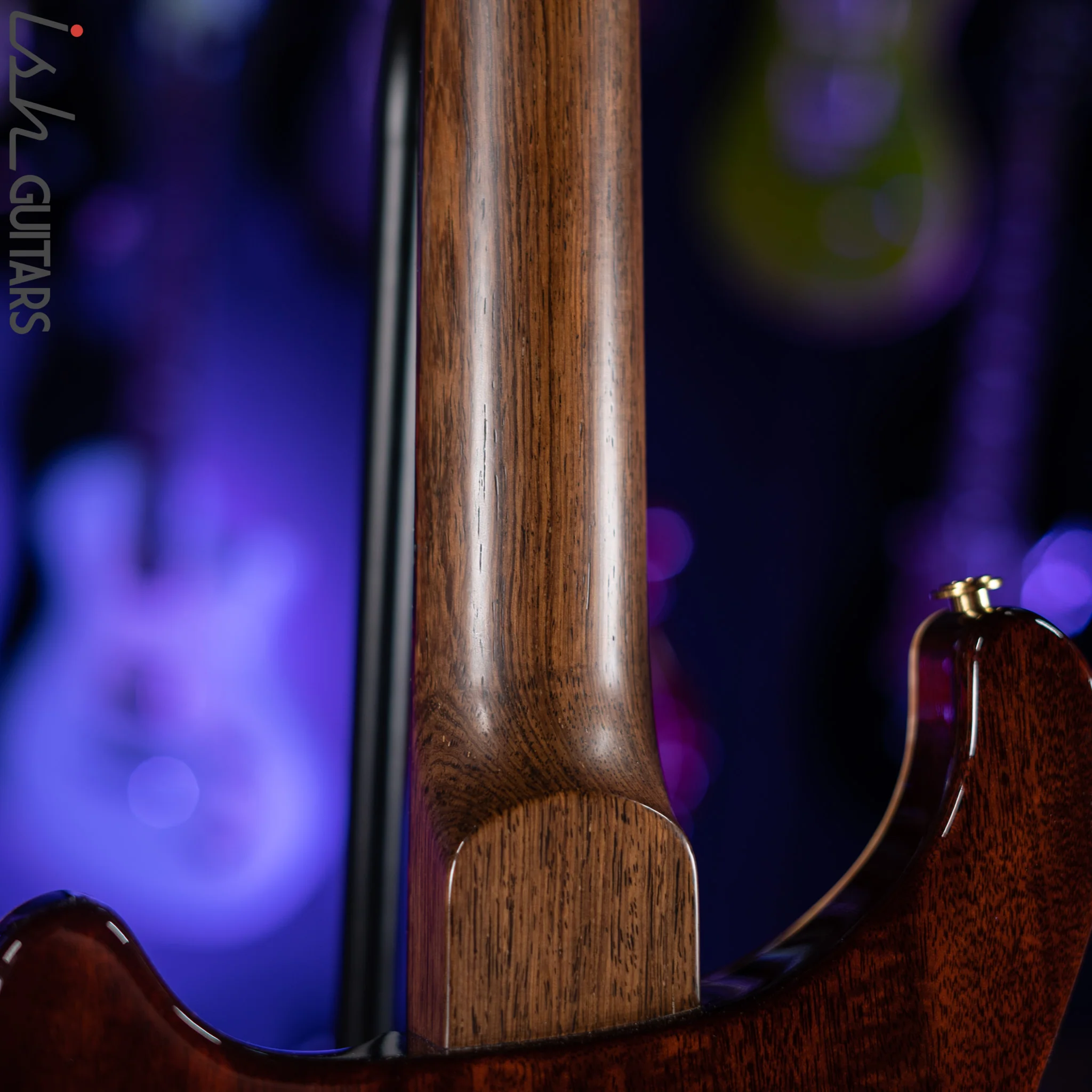 PRS Custom 22 Private Stock Tiger Eye Smoked Burst Birds On A Wire - Image 15