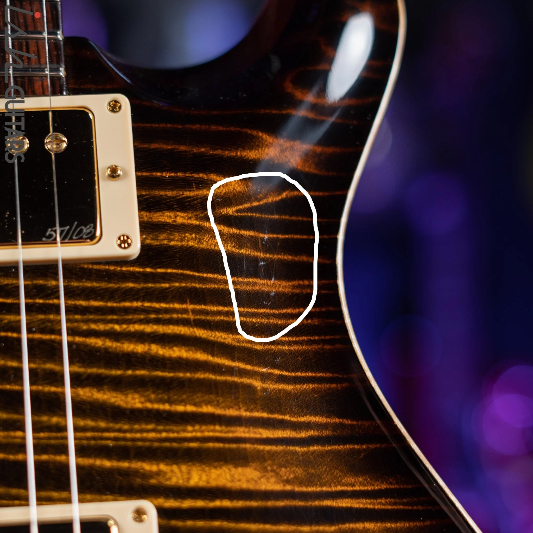 PRS Custom 22 Private Stock Tiger Eye Smoked Burst Birds On A Wire - Image 7