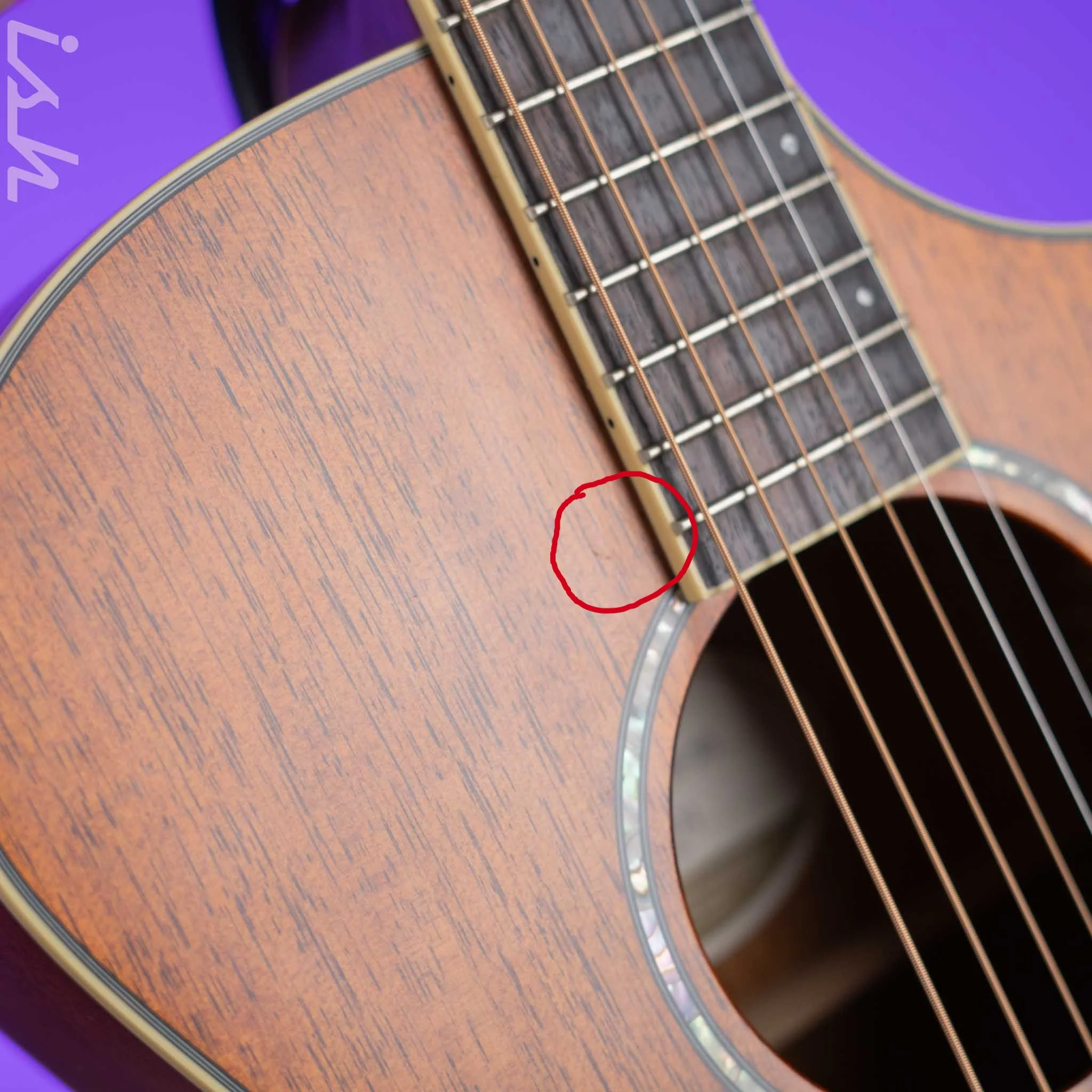 2017 Breedlove Pursuit Concert MH CES Natural - Image 5