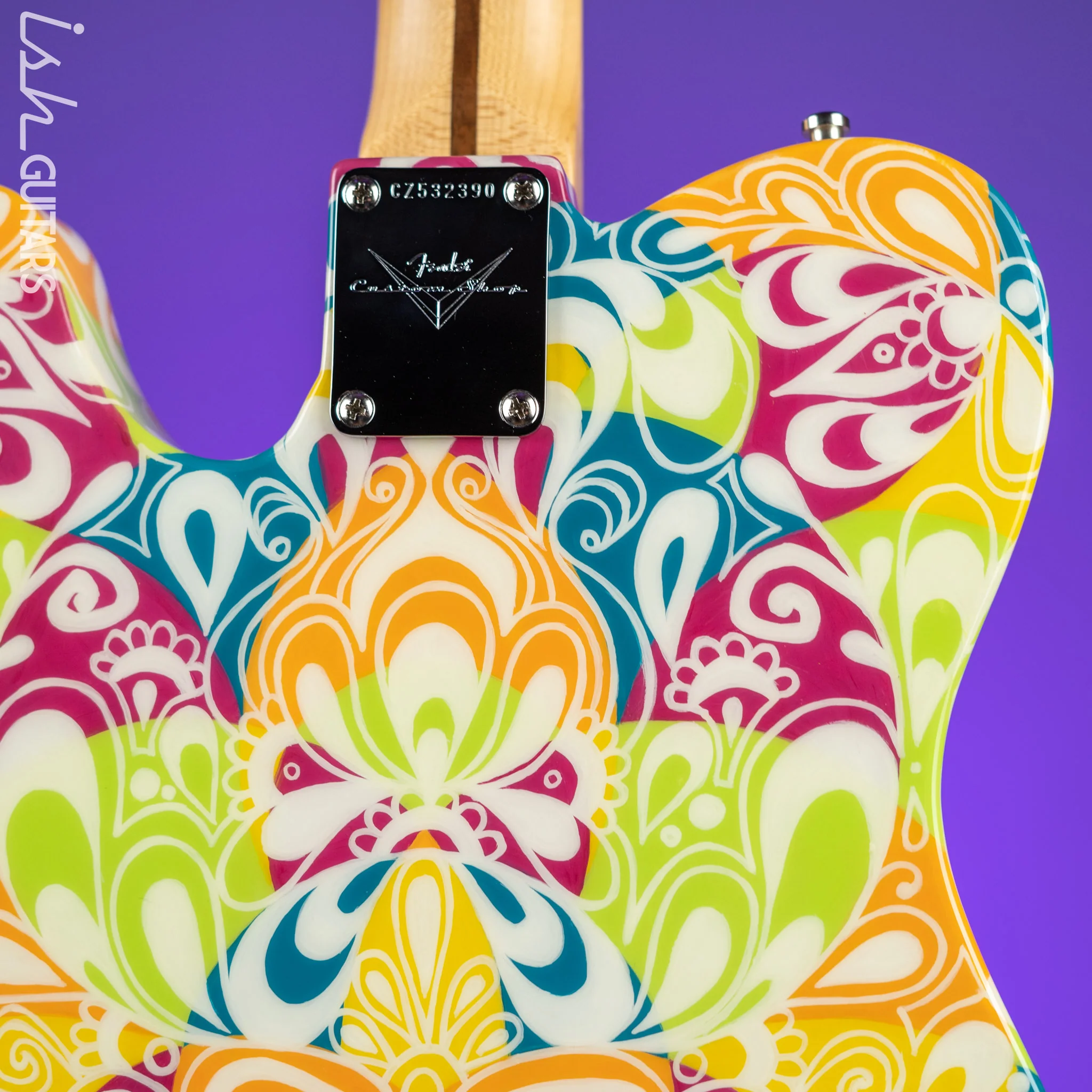 2017 Fender Masterbuilt Greg Fessler Custom Shop Primavera Telecaster Madison Roy Artwork - Image 8