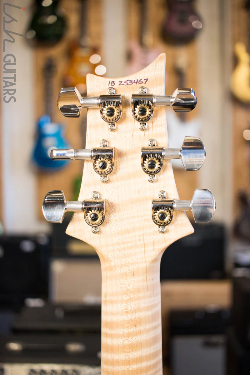 2018 PRS Custom 24 Floyd Artist Package Blue Burst Flamed Maple Fretboard - Image 9