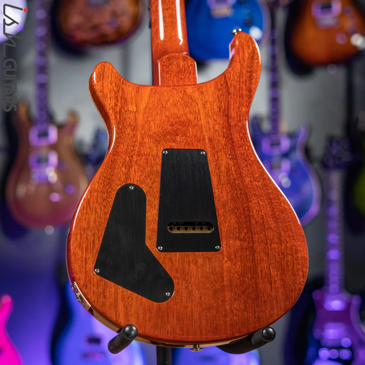 2019 PRS Special 22 Semi-Hollow Autumn Sky - Image 8