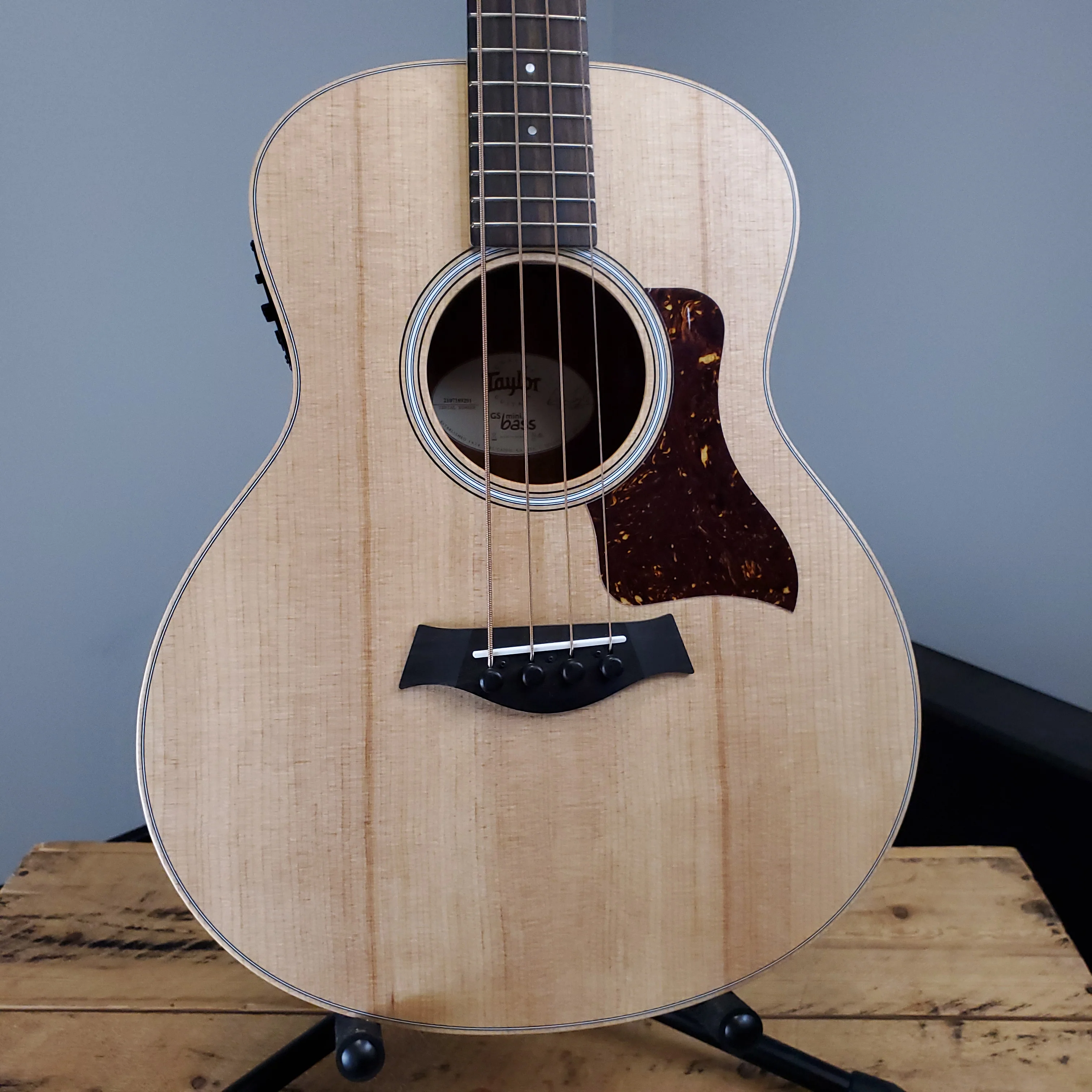 2019 Taylor GS Mini-e Bass