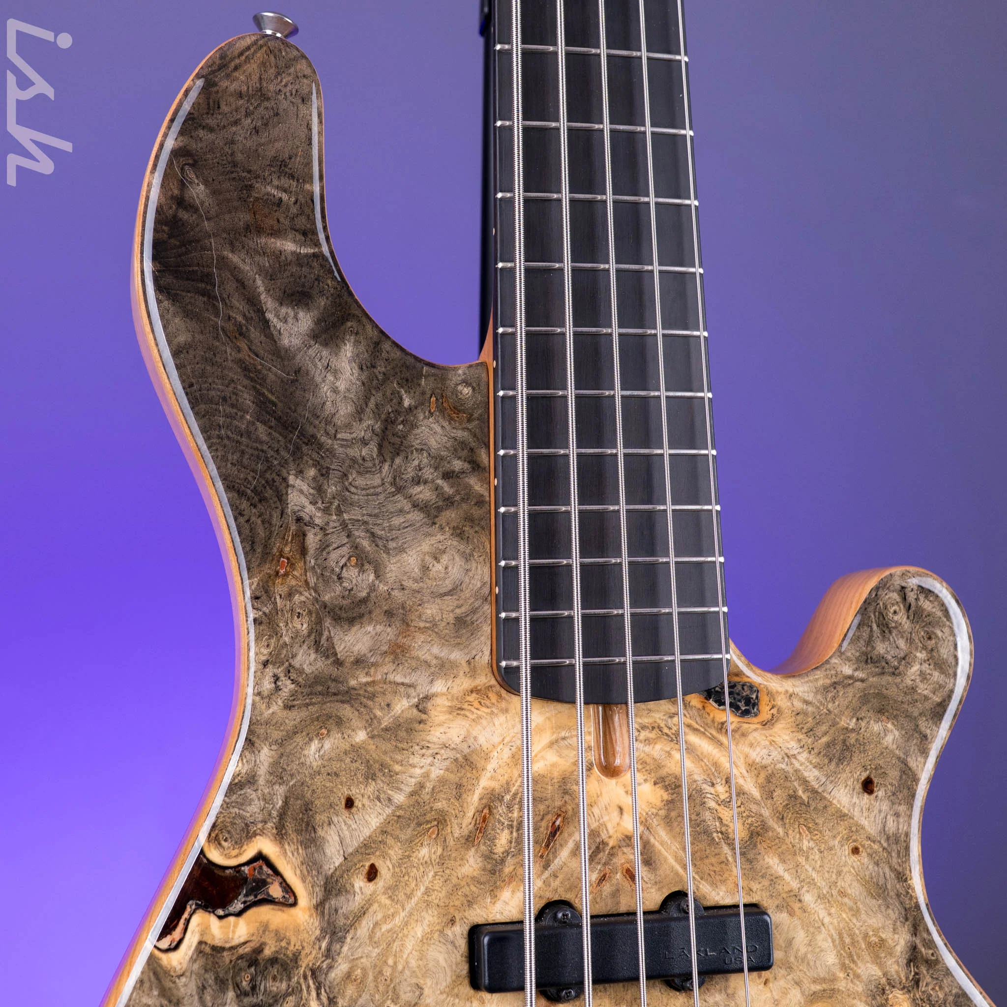 2020-2021 Lakland 55-94 Deluxe 5-String burl maple - Image 4