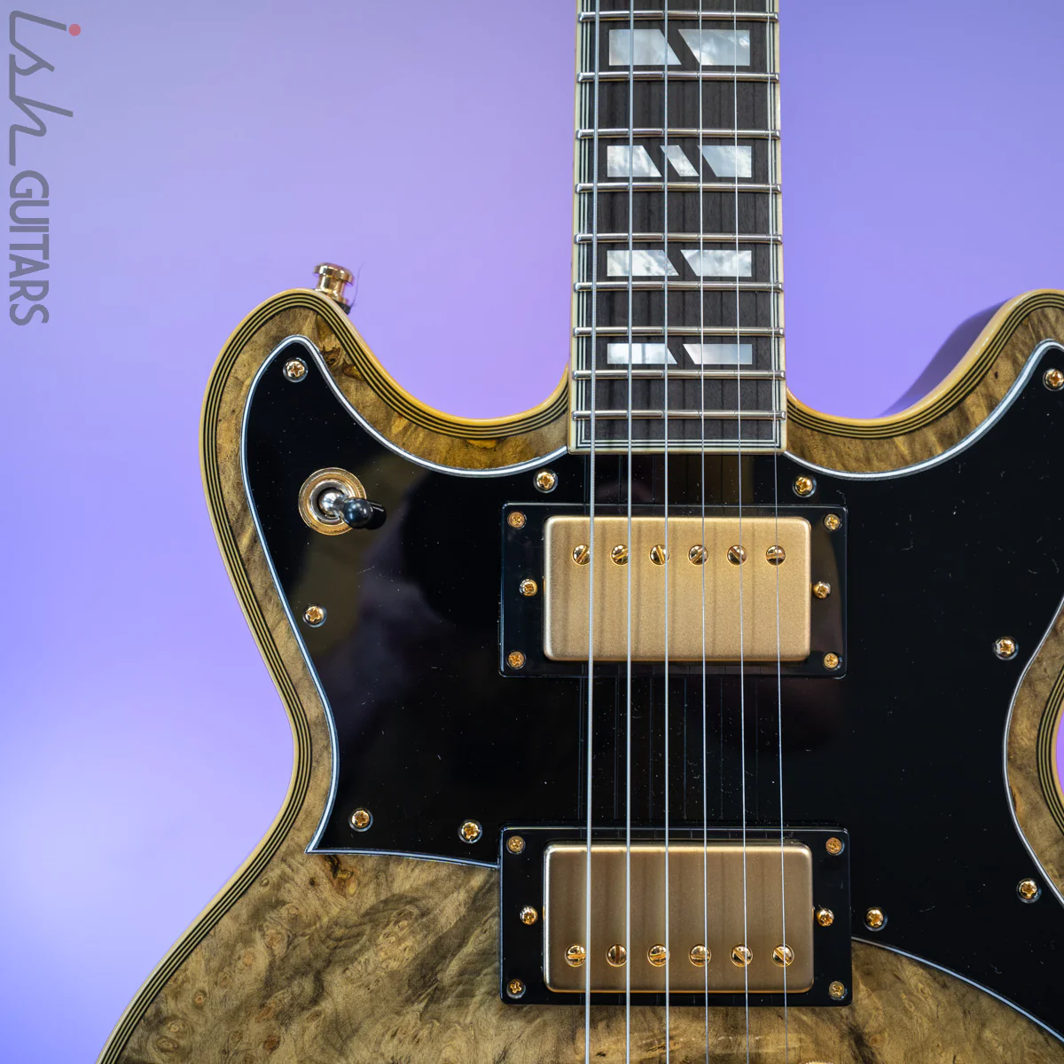 D'Angelico Brighton USA Custom Shop Gold Burl - Image 3
