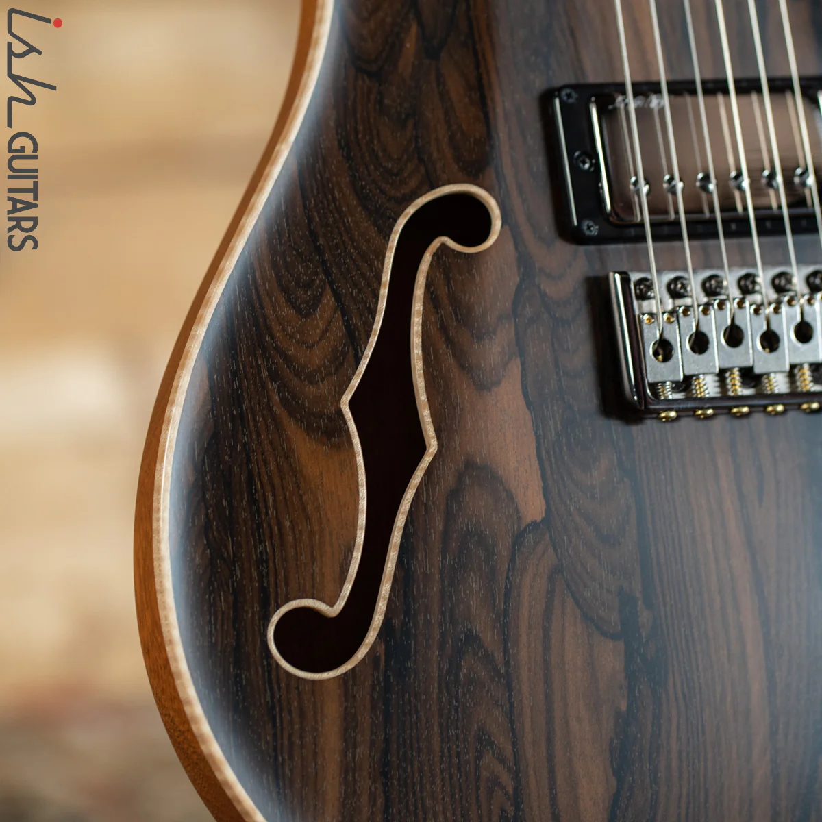 2020 PRS Private Stock Custom 24 Semi-Hollow Ziricote Satin - Image 5