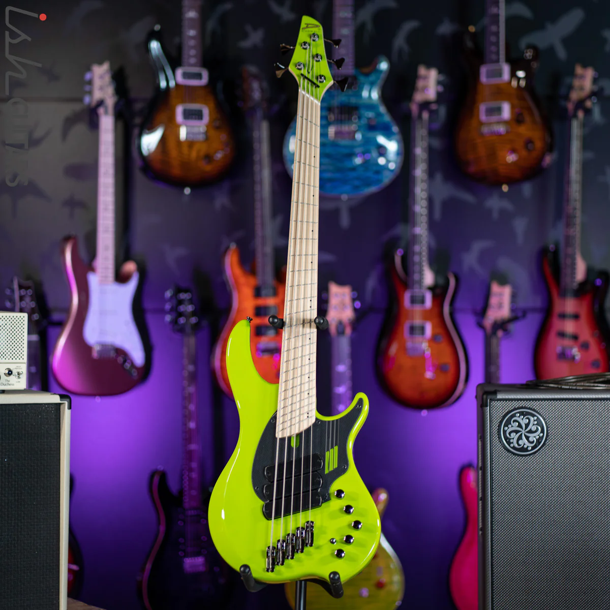 Dingwall NG-3 5-String Bass Ferrari Green - Image 2