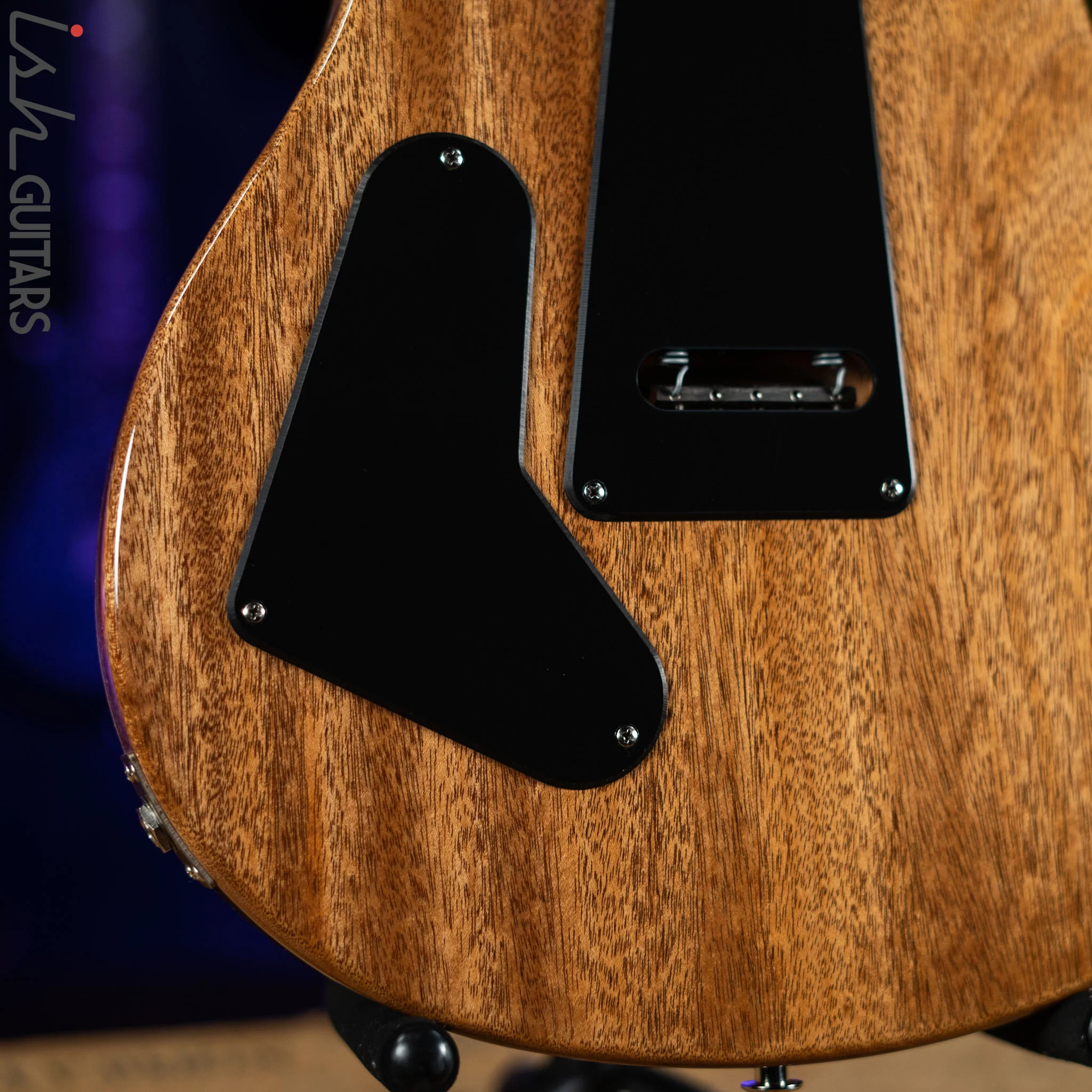 PRS CE 24 Semi-Hollow Eriza Verde - Image 9
