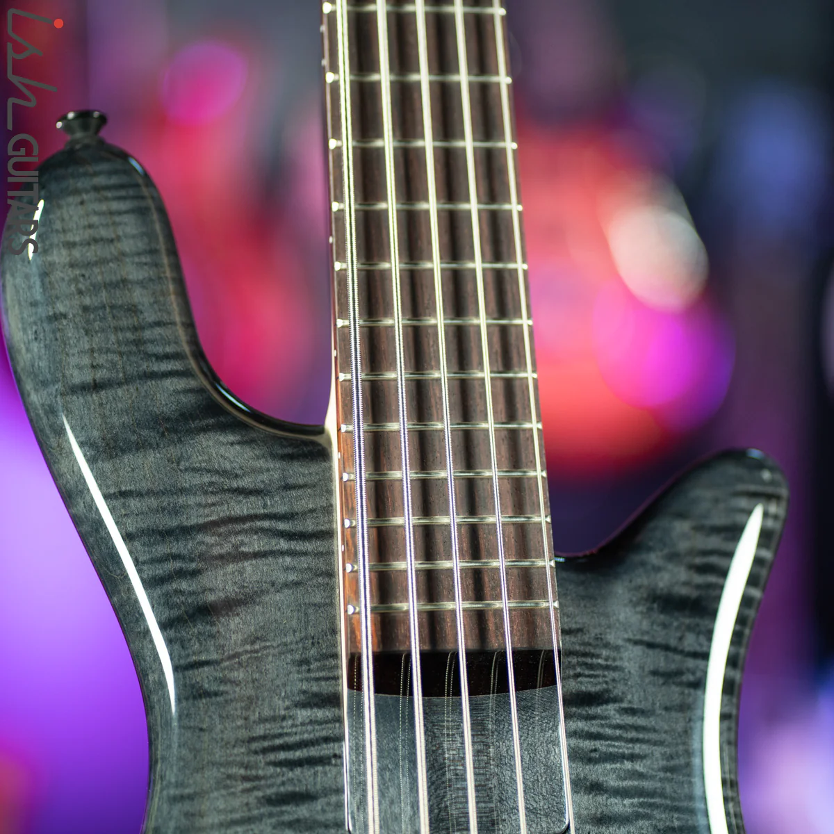 Spector Bantam 5 Short Scale Bass Black Stain Gloss - Image 5