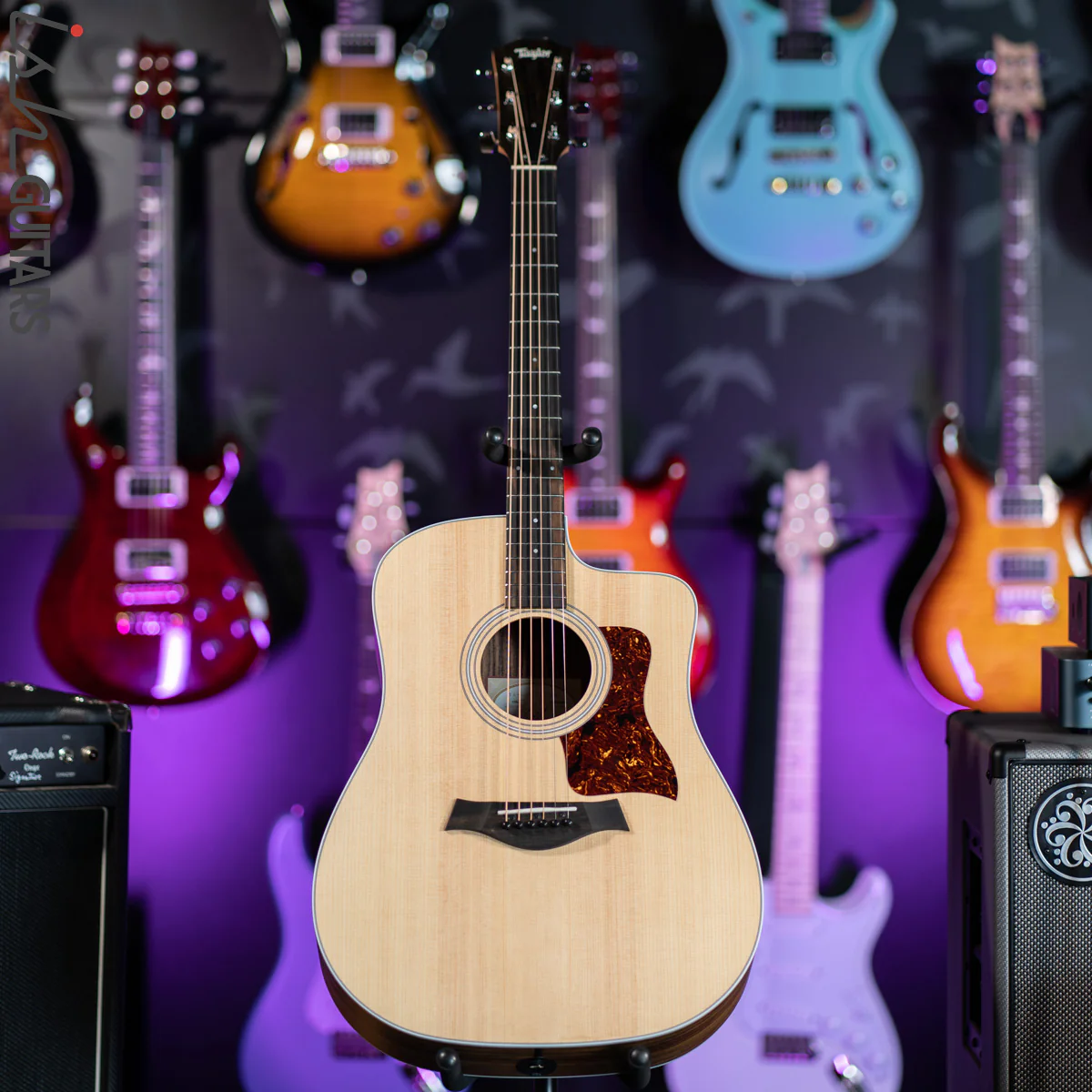 Taylor 210ce Rosewood/Spruce - Image 2