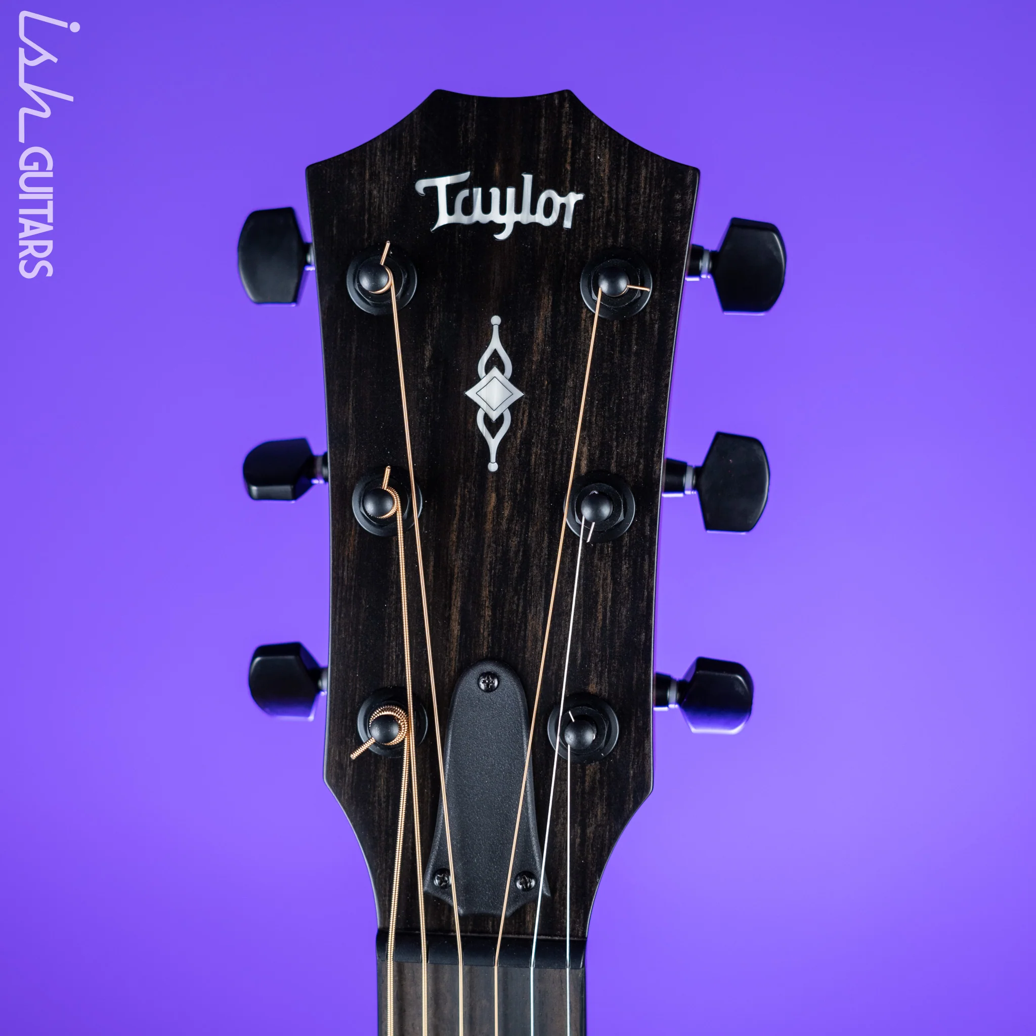 2021 Taylor 324ce Blacktop LTD - Image 5