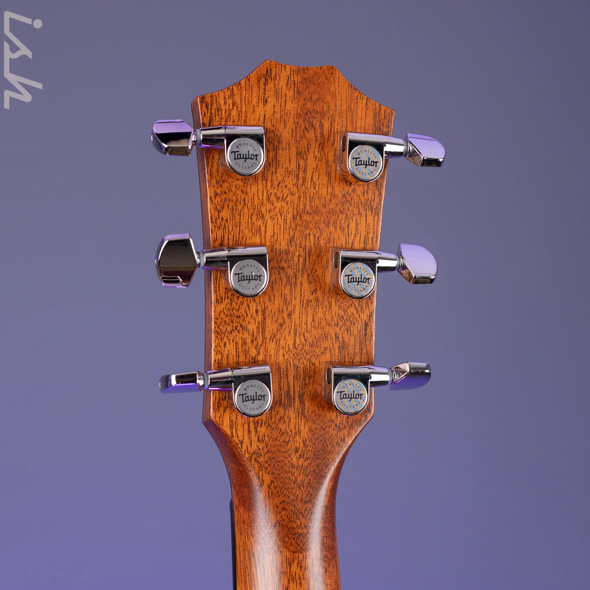 2021 Taylor Builder’s Edition 517e Acoustic Guitar Wild Honey Burst - Image 10
