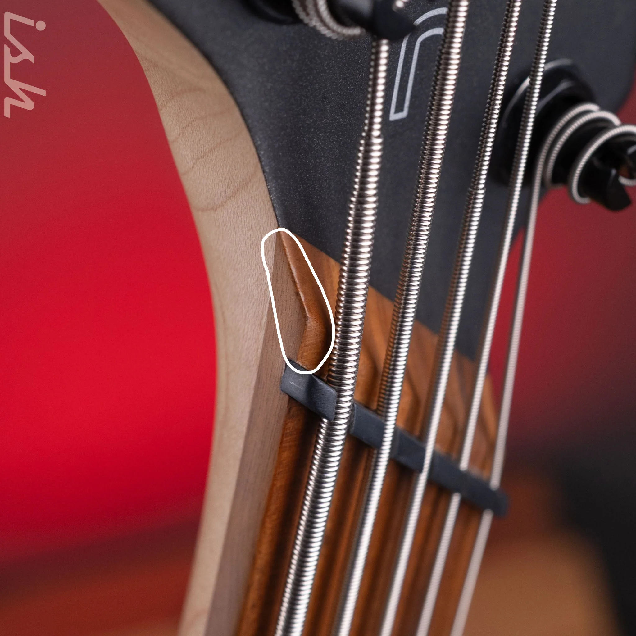2023 Dingwall D-Roc Standard 5-String Black - Image 7