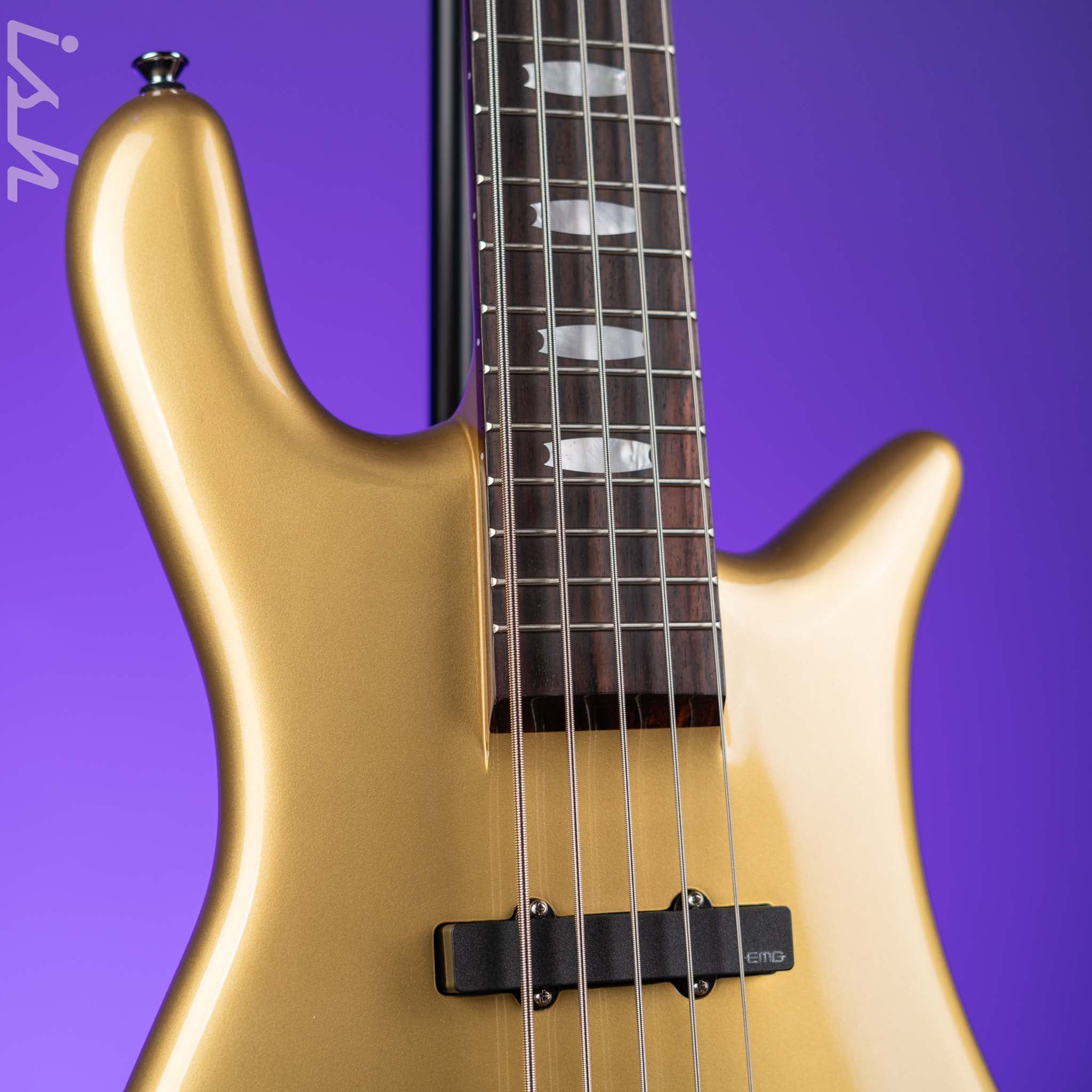 2023 Spector Euro 5 Classic Solid Metallic Gold Gloss - Image 3