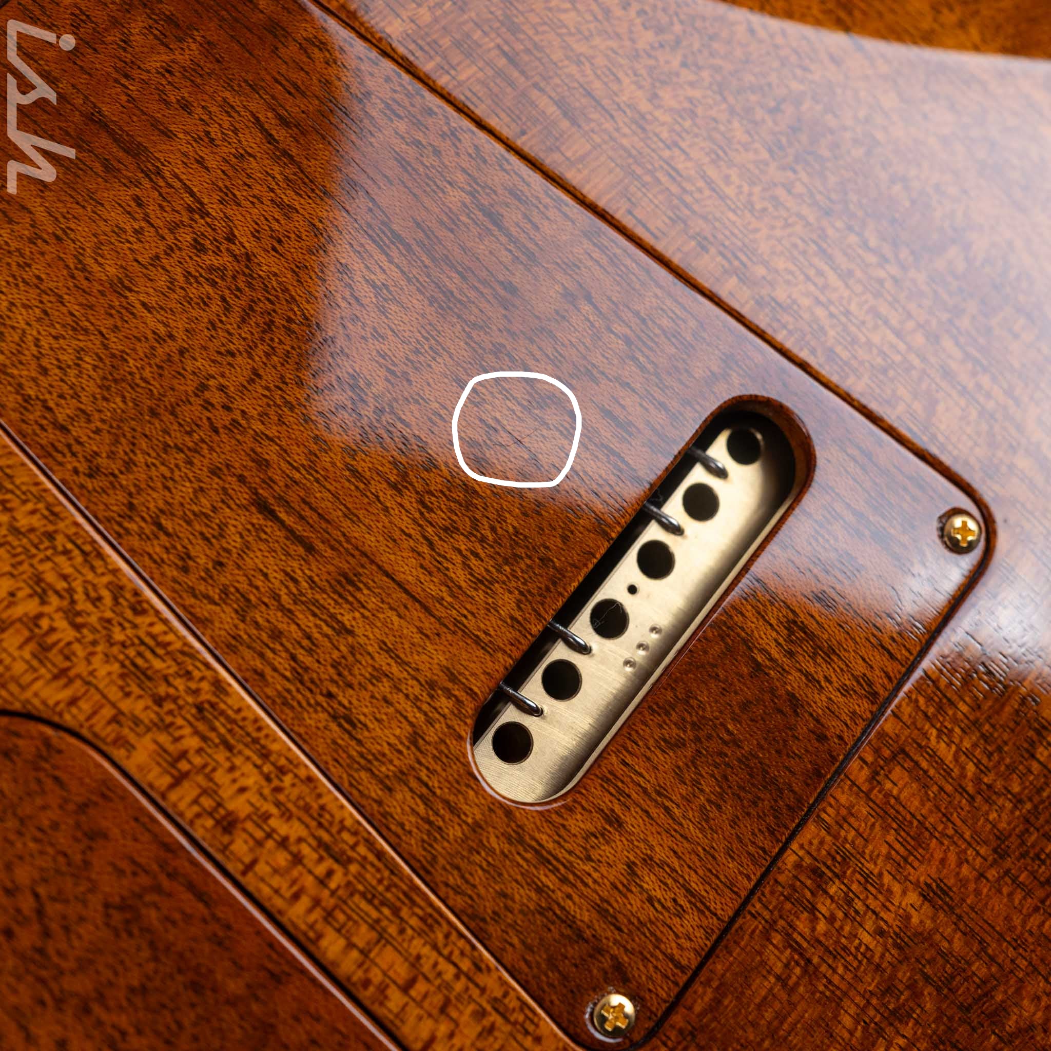 2024 PRS Private Stock Owls in Flight Custom 24 Retro Sour Grapes Brazilian Rosewood - Image 15