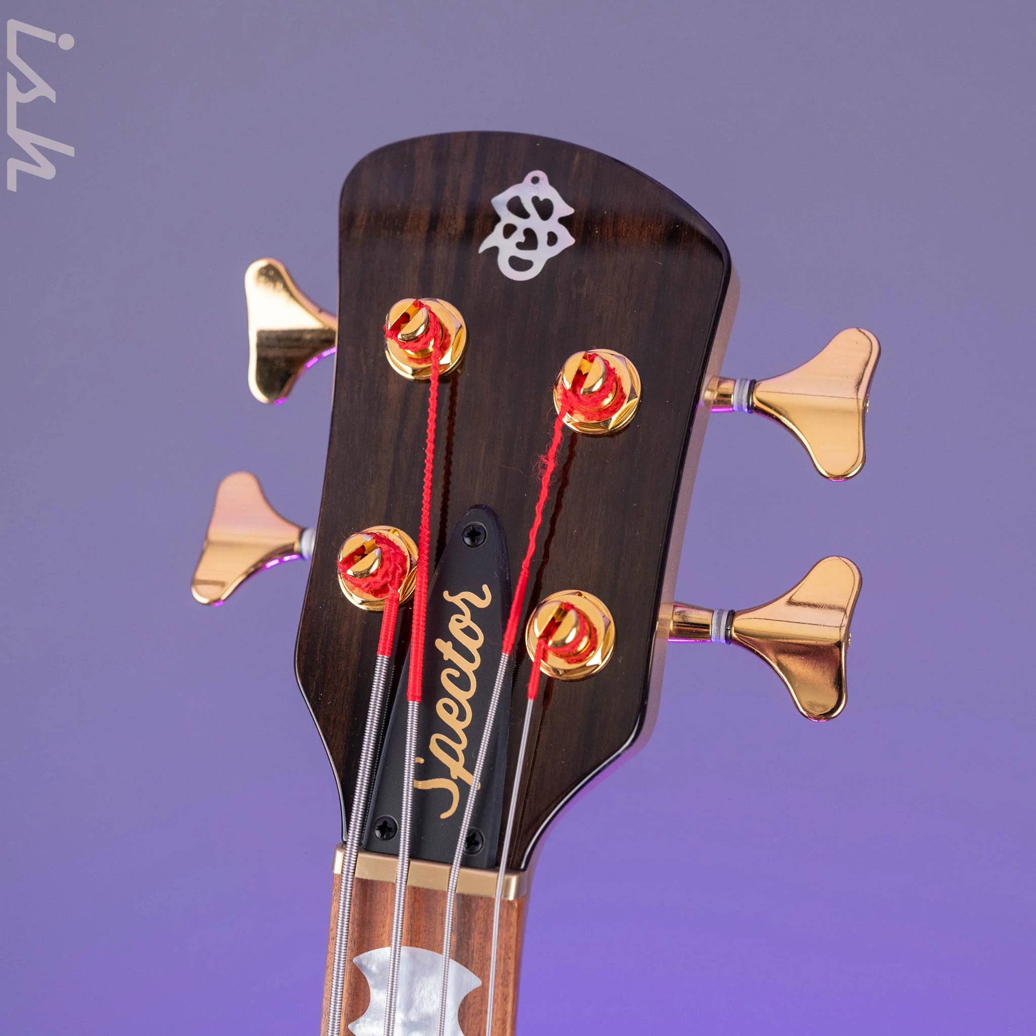 2024 Spector NS-2 DW-4 Doug Wimbish Signature True Champagne - Image 5