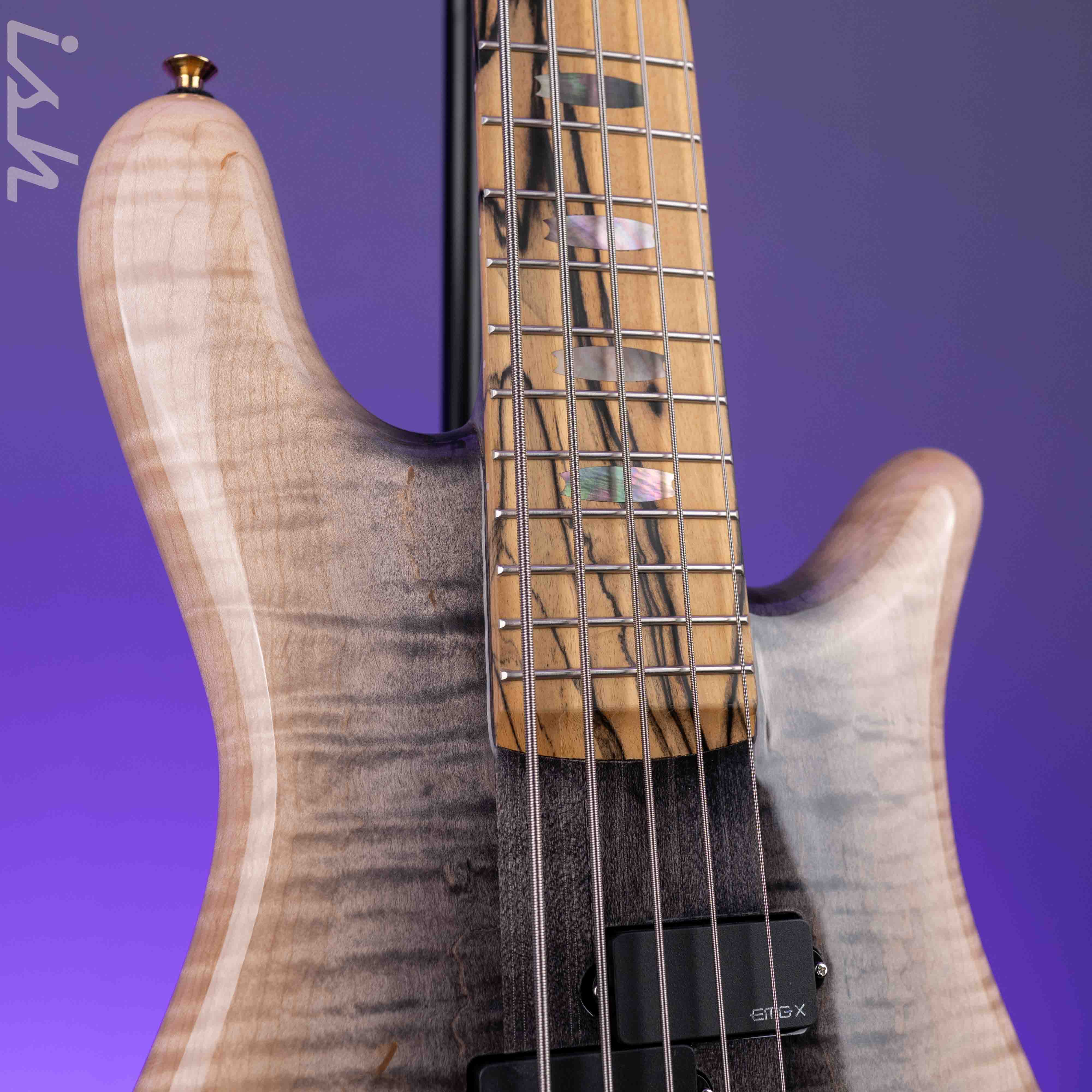 Spector USA NS-5XL 5-String Bass Super Faded Black Reverse Burst Demo - Image 3