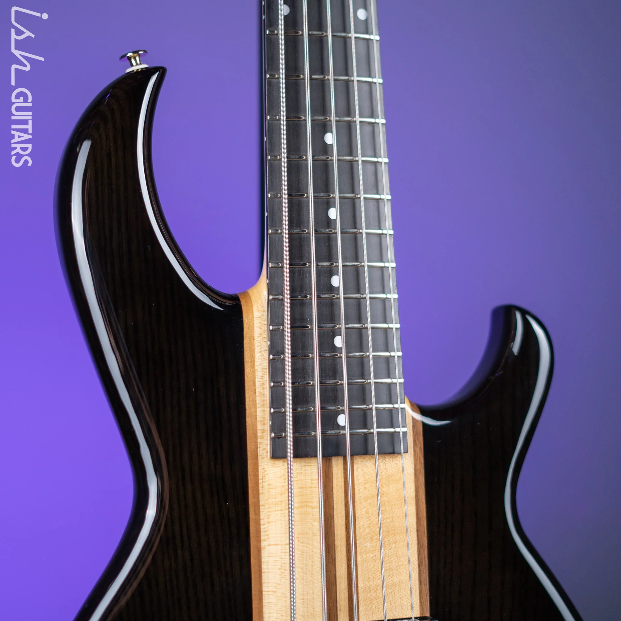 Aria Pro II SB-1000 5-String See Through Bass Black Demo - Image 3