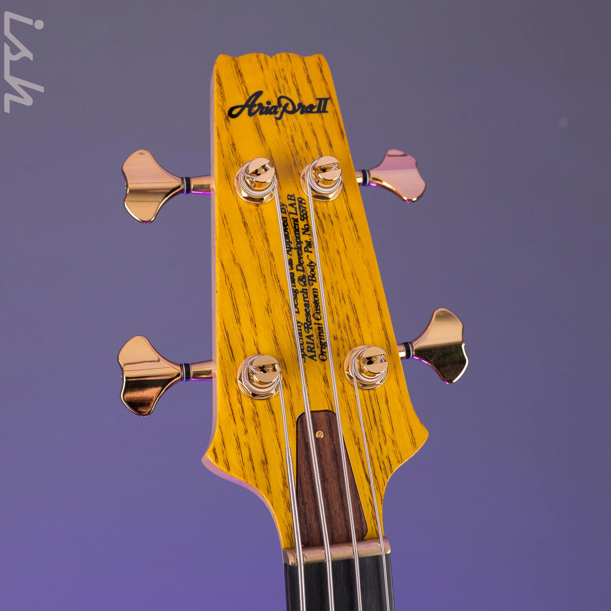 Aria Pro II SB-1000B Oak - Image 6