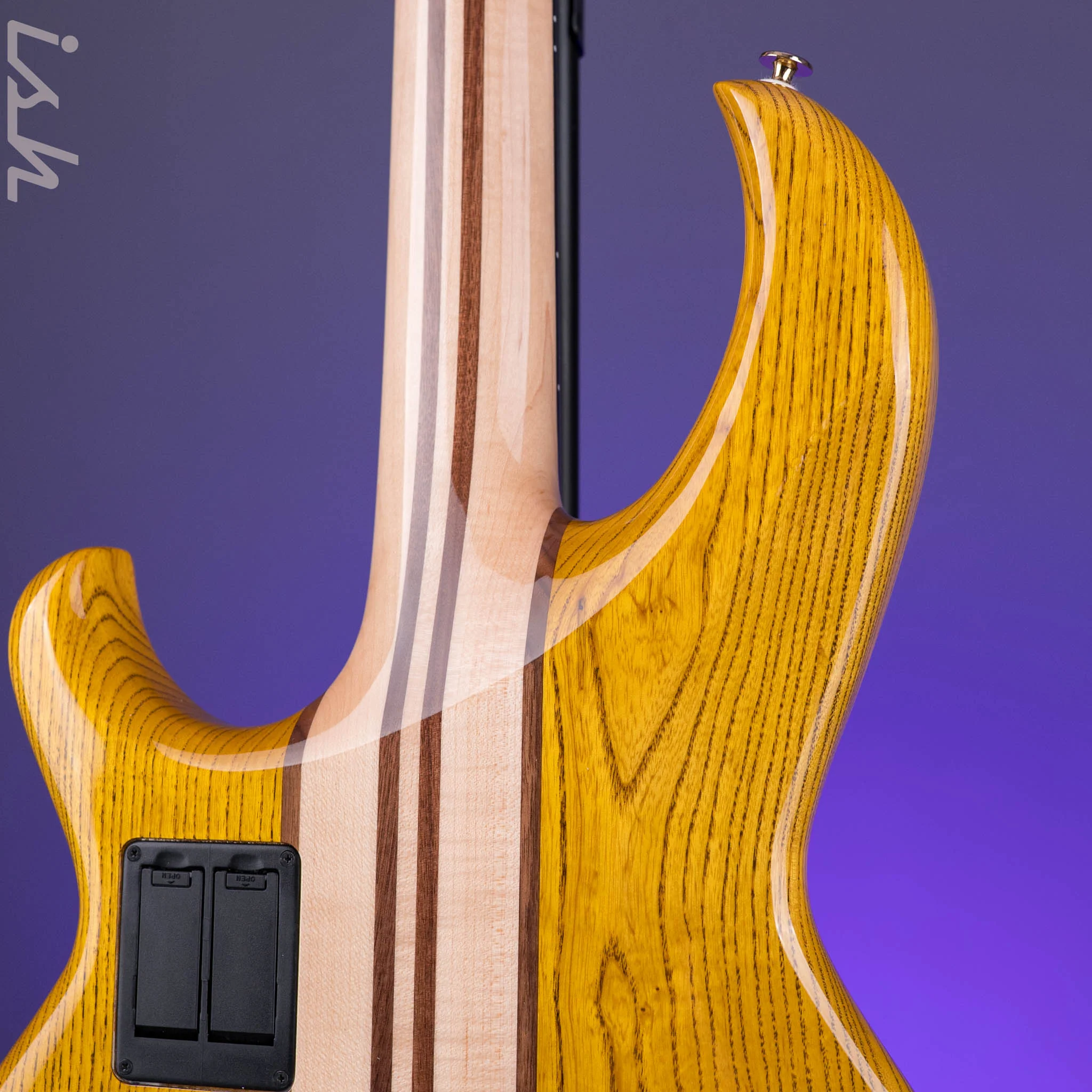 Aria Pro II SB-1000B Oak - Image 9