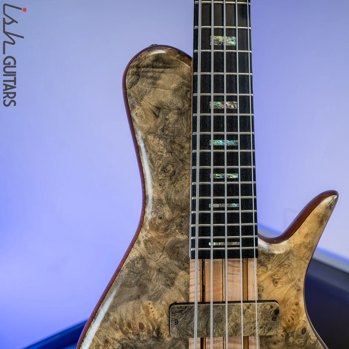 Benavente SCD #1 Buckeye Burl 5 String - Image 3