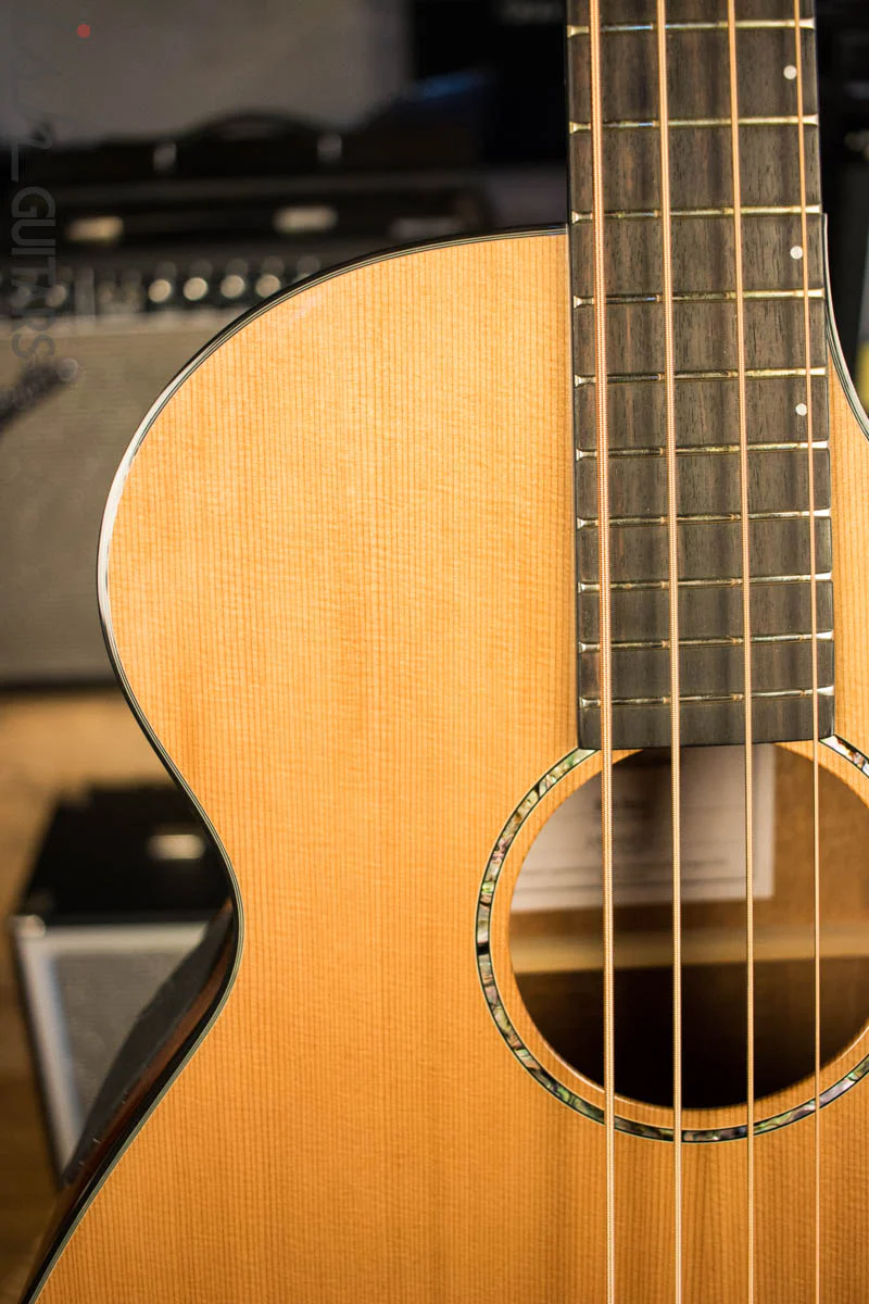 Breedlove Solo Acoustic Electric Bass Guitar - Image 3