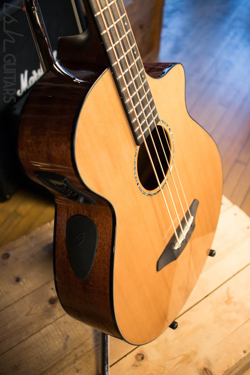 Breedlove Solo Acoustic Electric Bass Guitar - Image 6